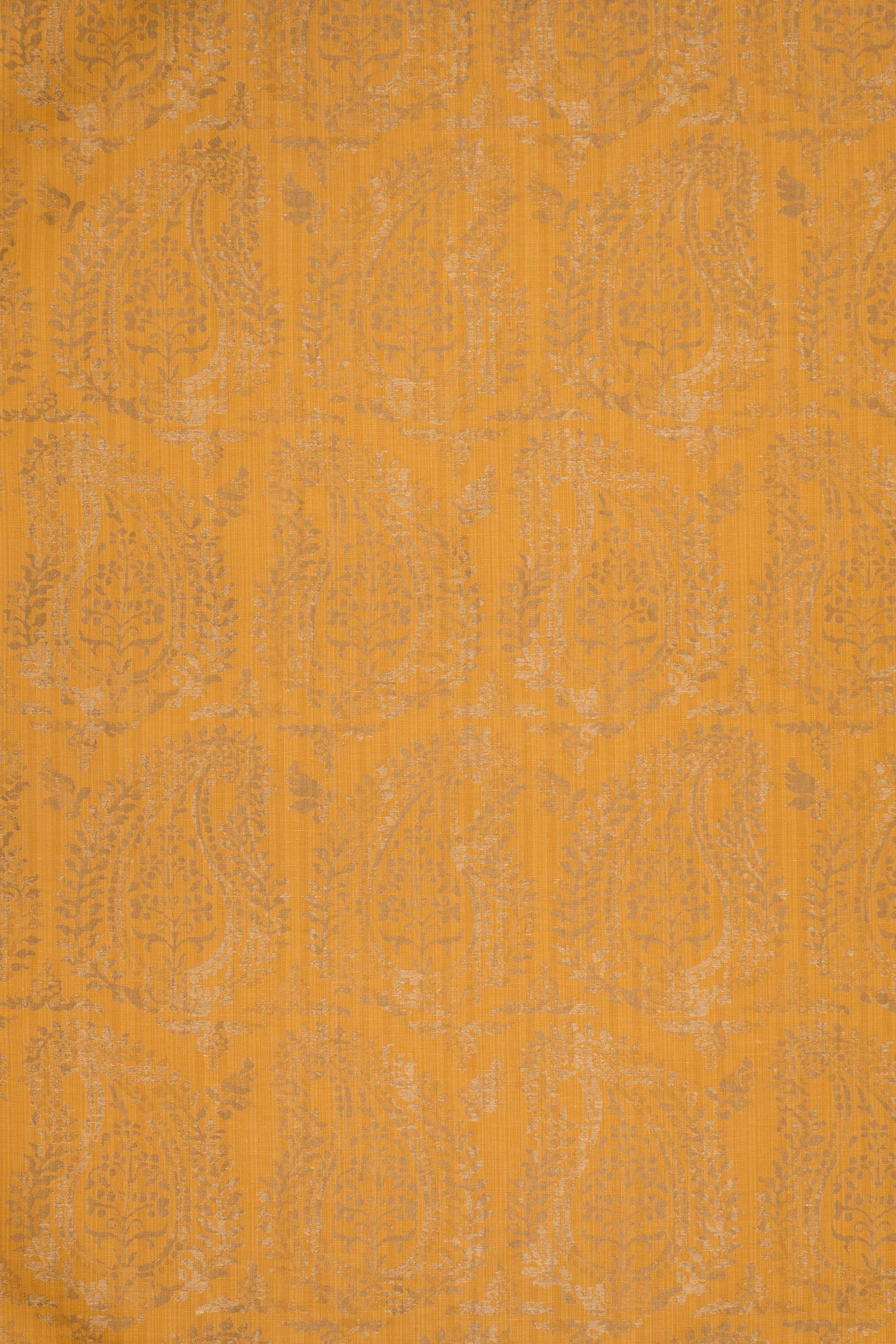 rsc-2001-19 gold_BERNARDO PAISLEY