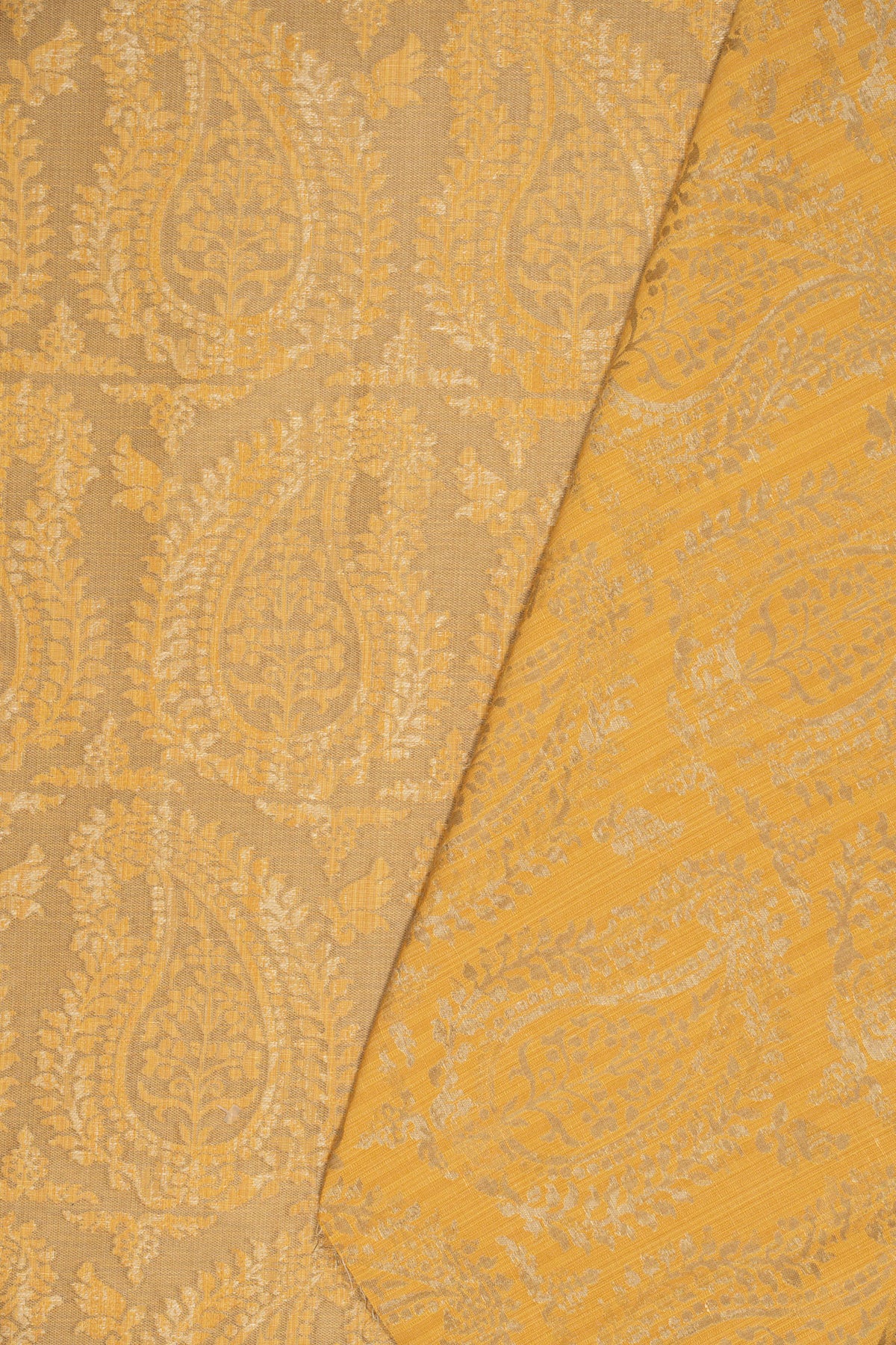 rsc-2001-19 gold_BERNARDO PAISLEY