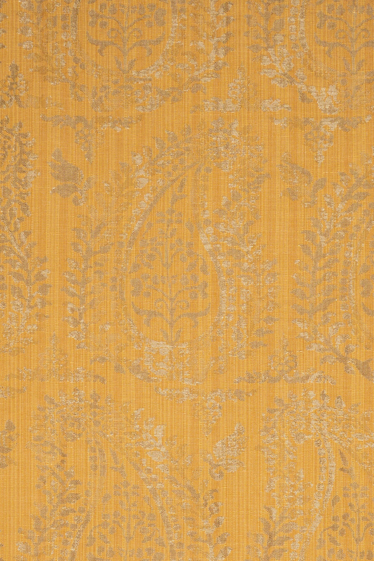 rsc-2001-19 gold_BERNARDO PAISLEY
