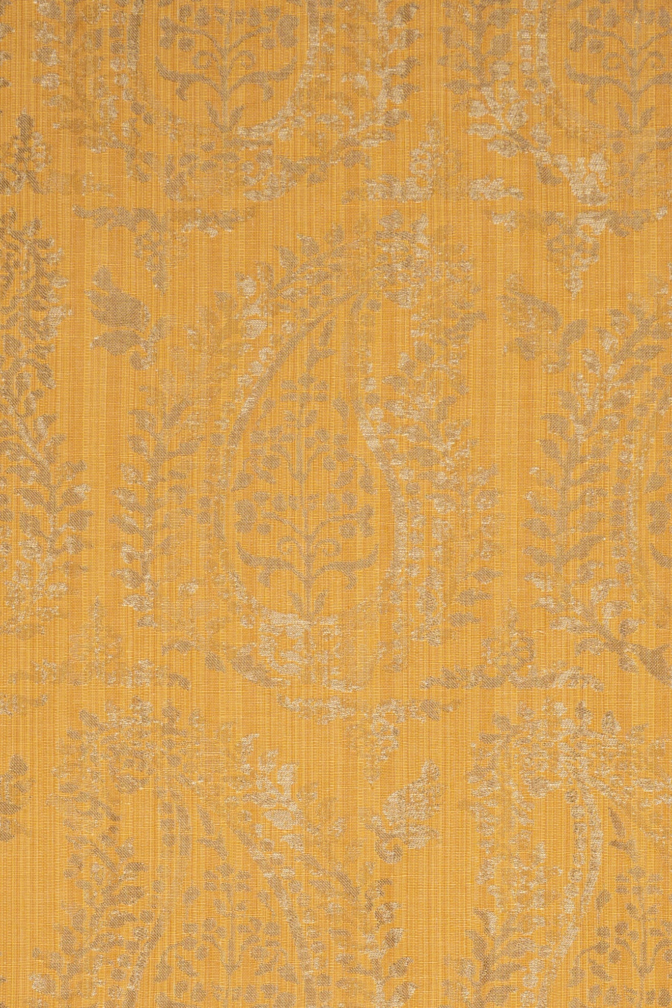 rsc-2001-19 gold_BERNARDO PAISLEY