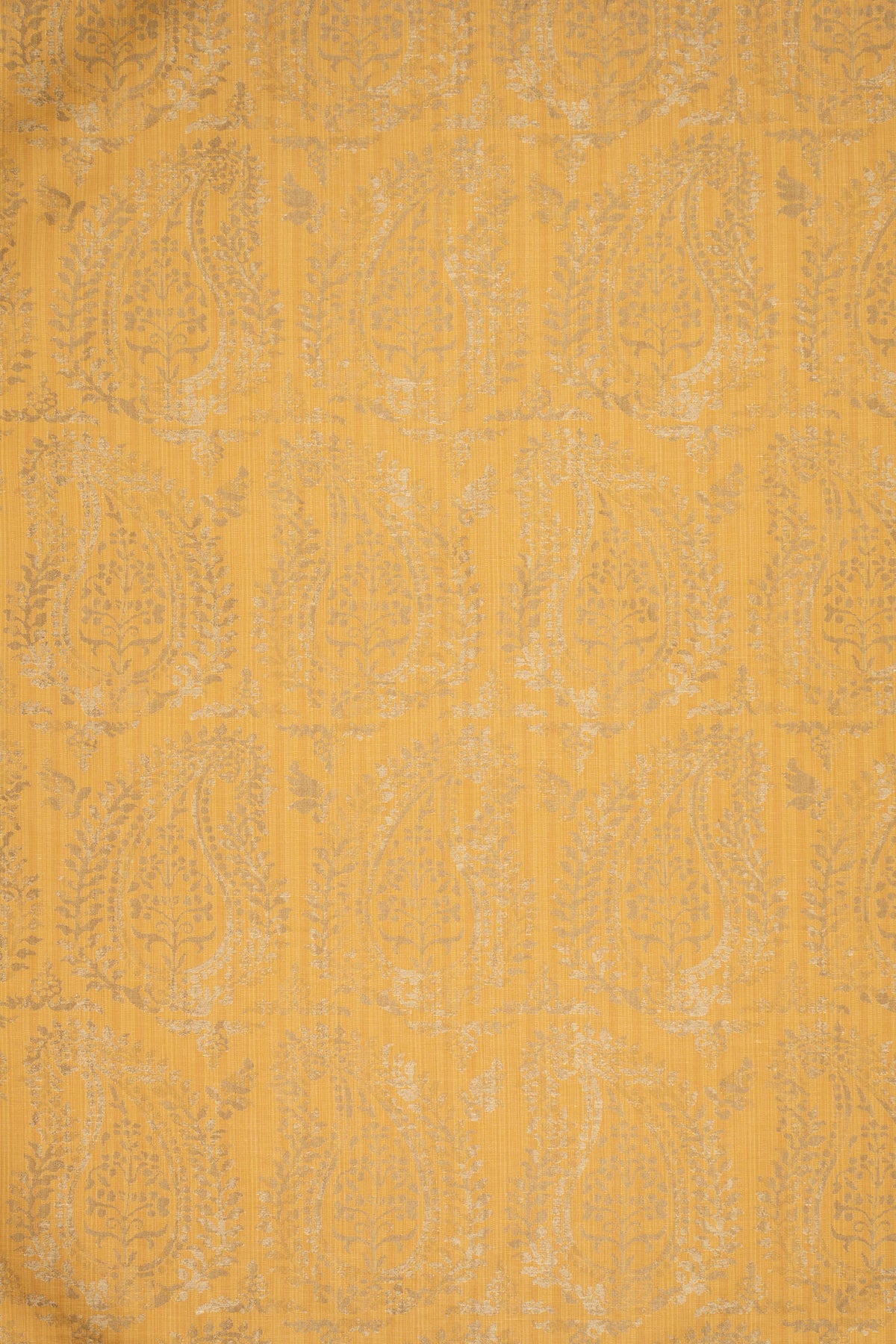rsc-2001-19 gold_BERNARDO PAISLEY