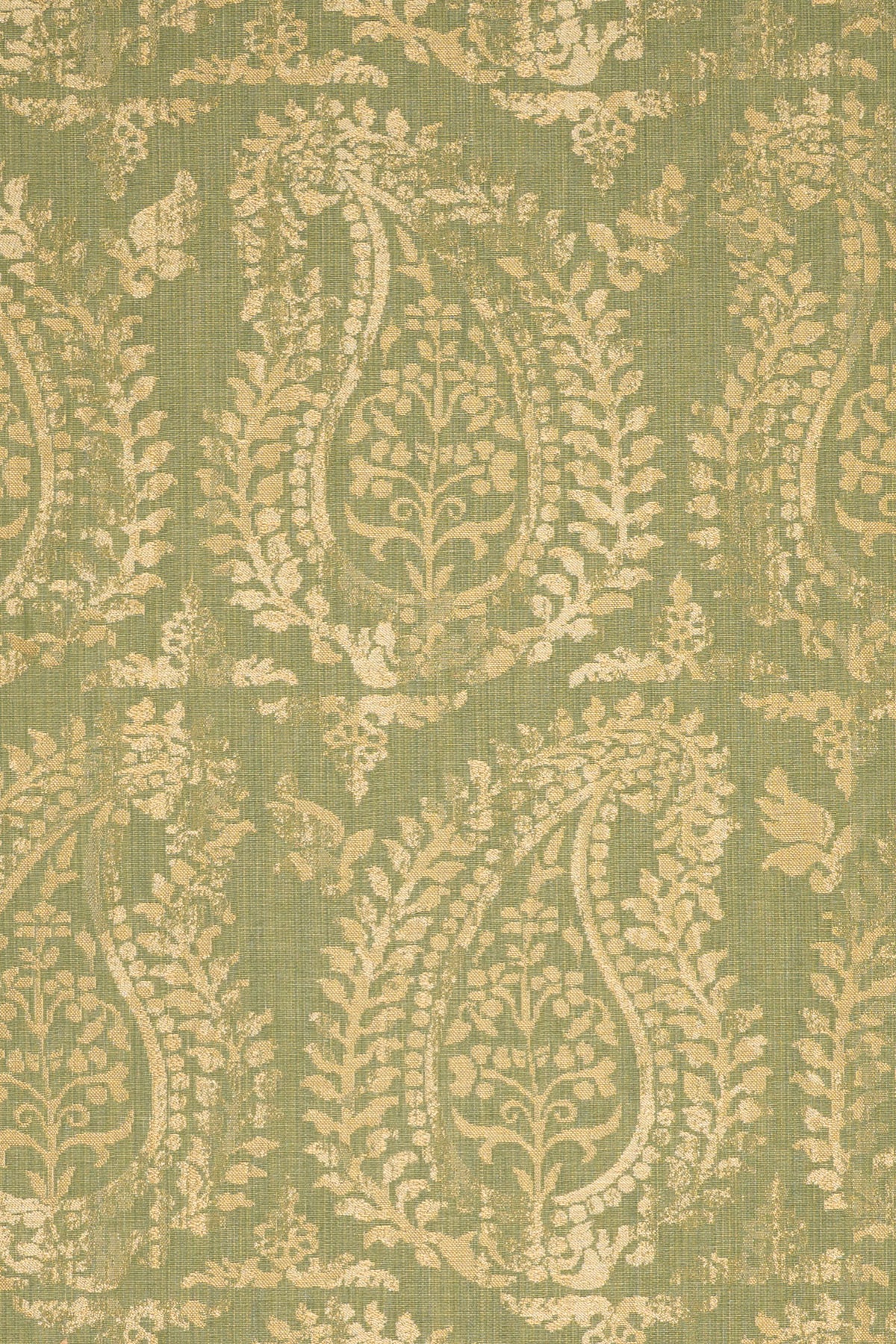 rsc-2001-7 toscana_BERNARDO PAISLEY