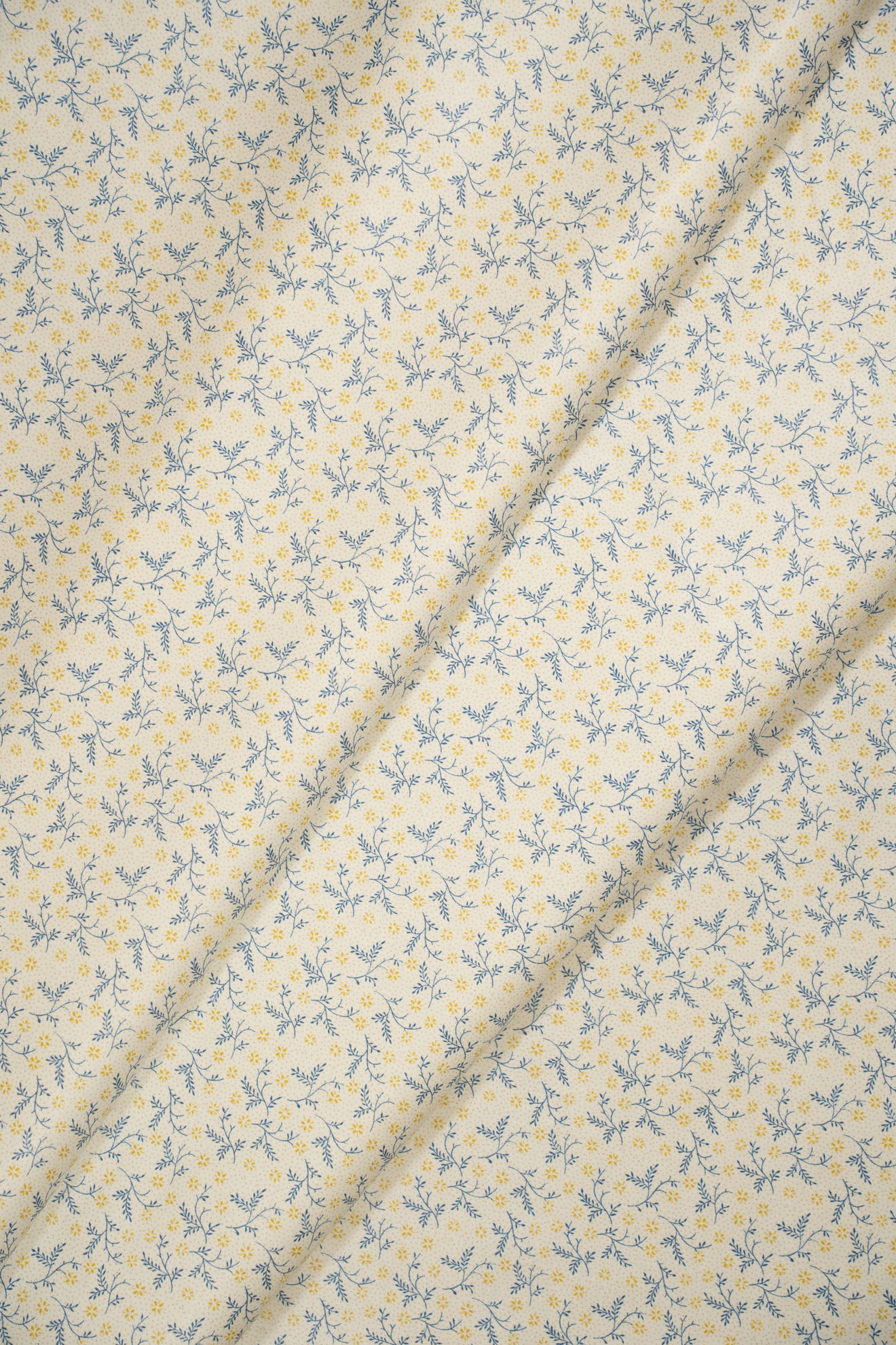 jm-1405 dandelion_BETSY