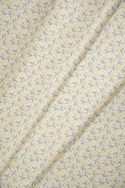 jm-1405 dandelion_BETSY