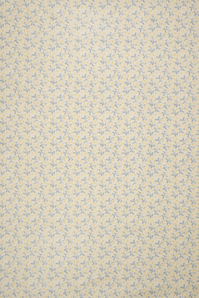 jm-1405 dandelion_BETSY