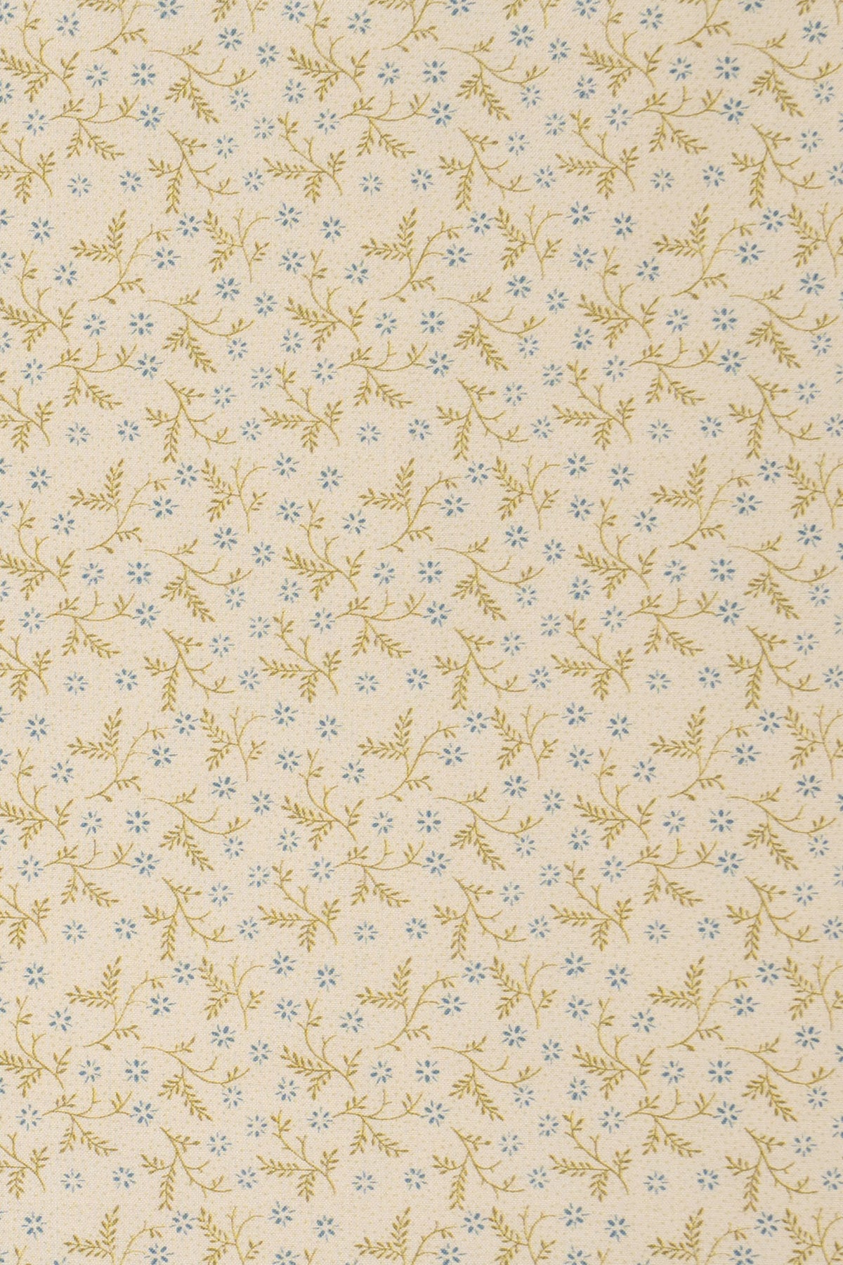 jm-1402 forget-me-not_BETSY