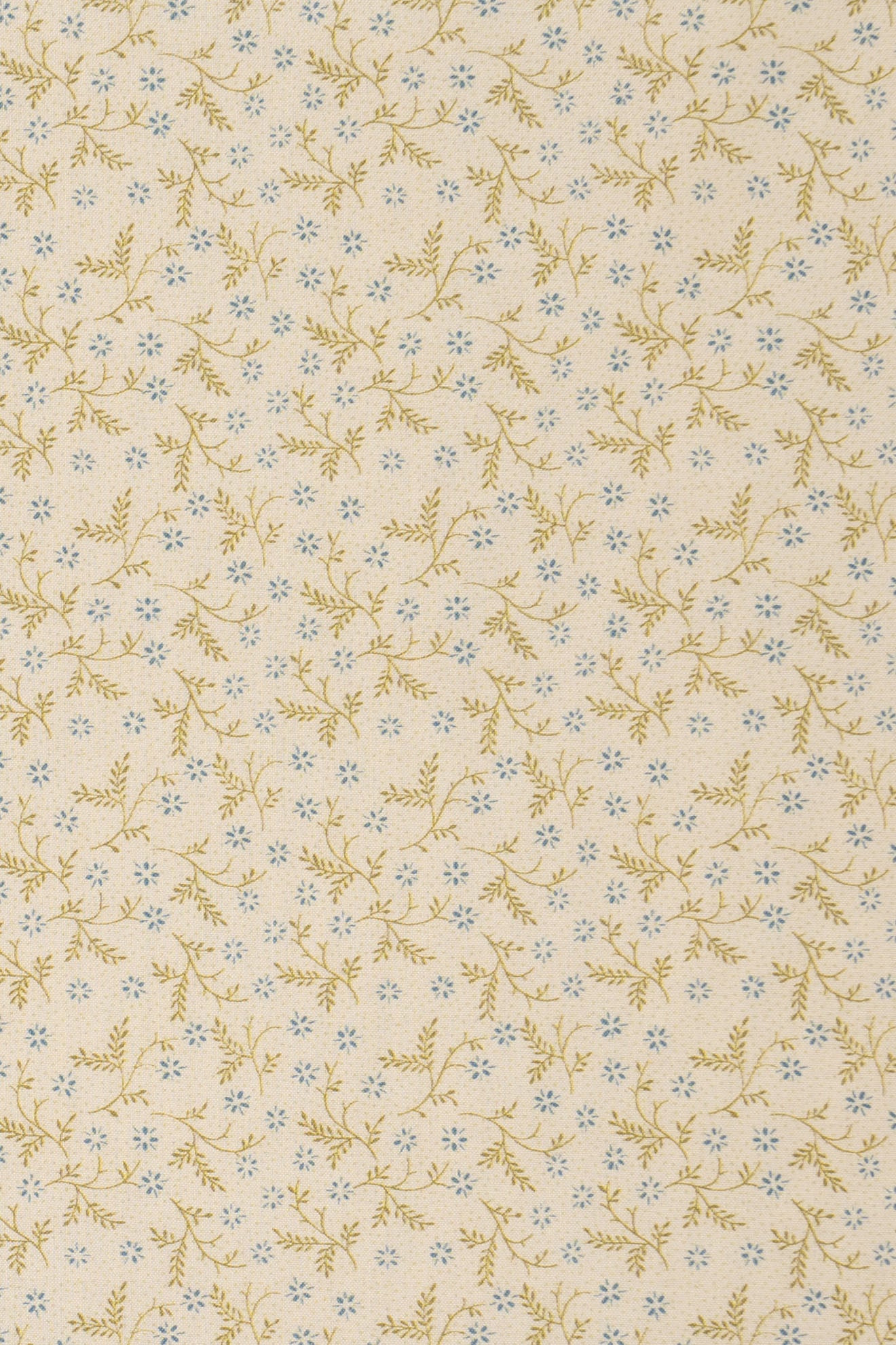 jm-1402 forget-me-not_BETSY