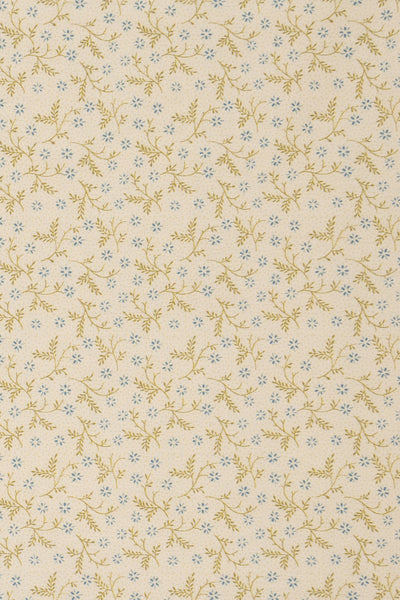 jm-1402 forget-me-not_BETSY