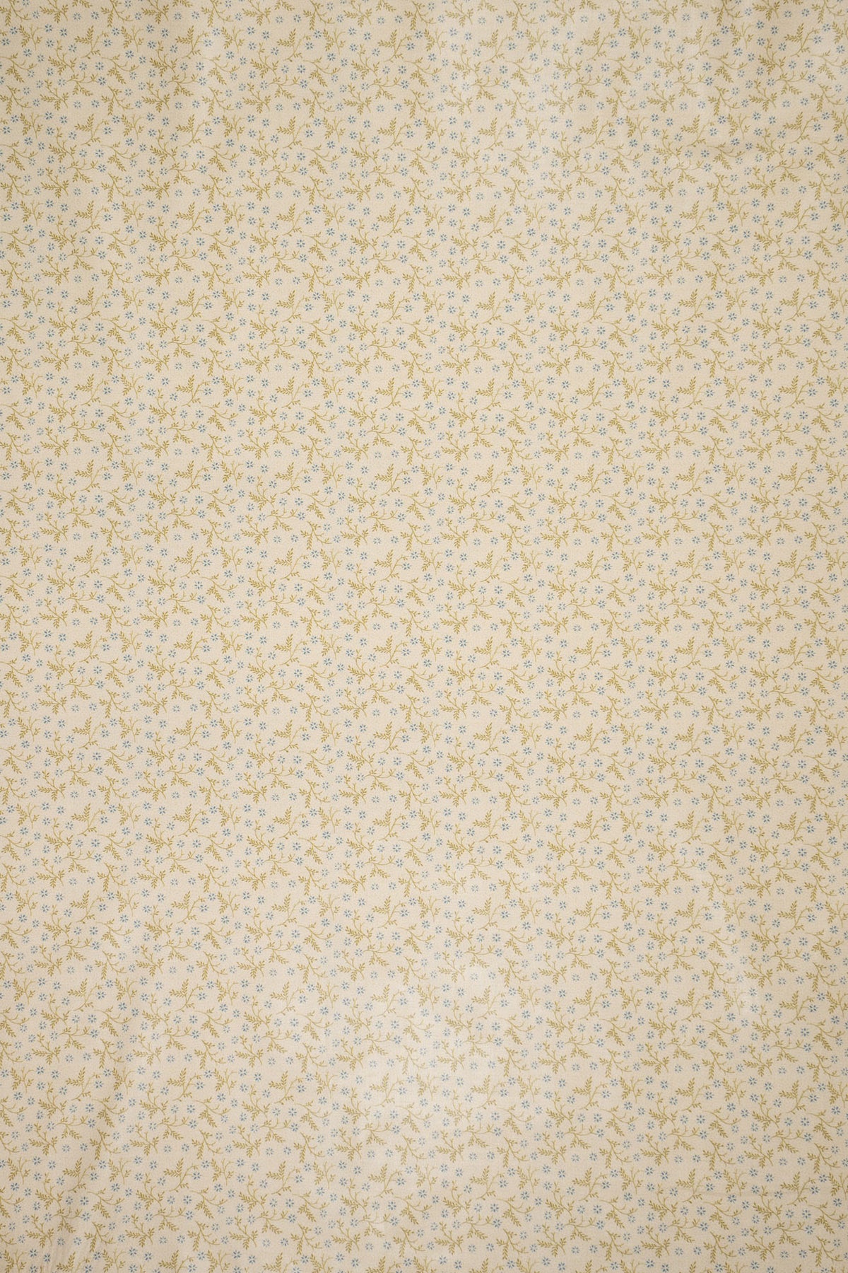 jm-1402 forget-me-not_BETSY