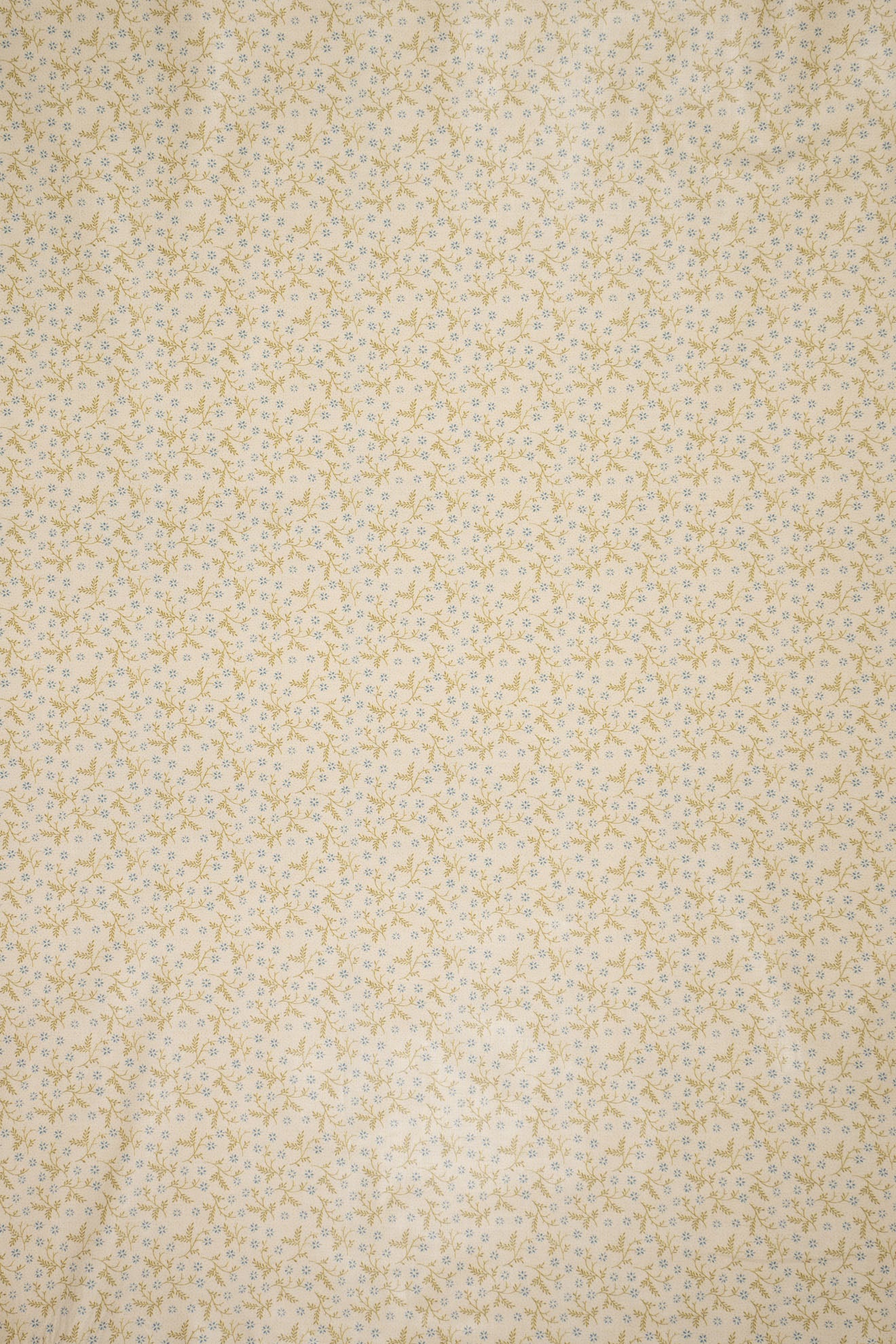 jm-1402 forget-me-not_BETSY