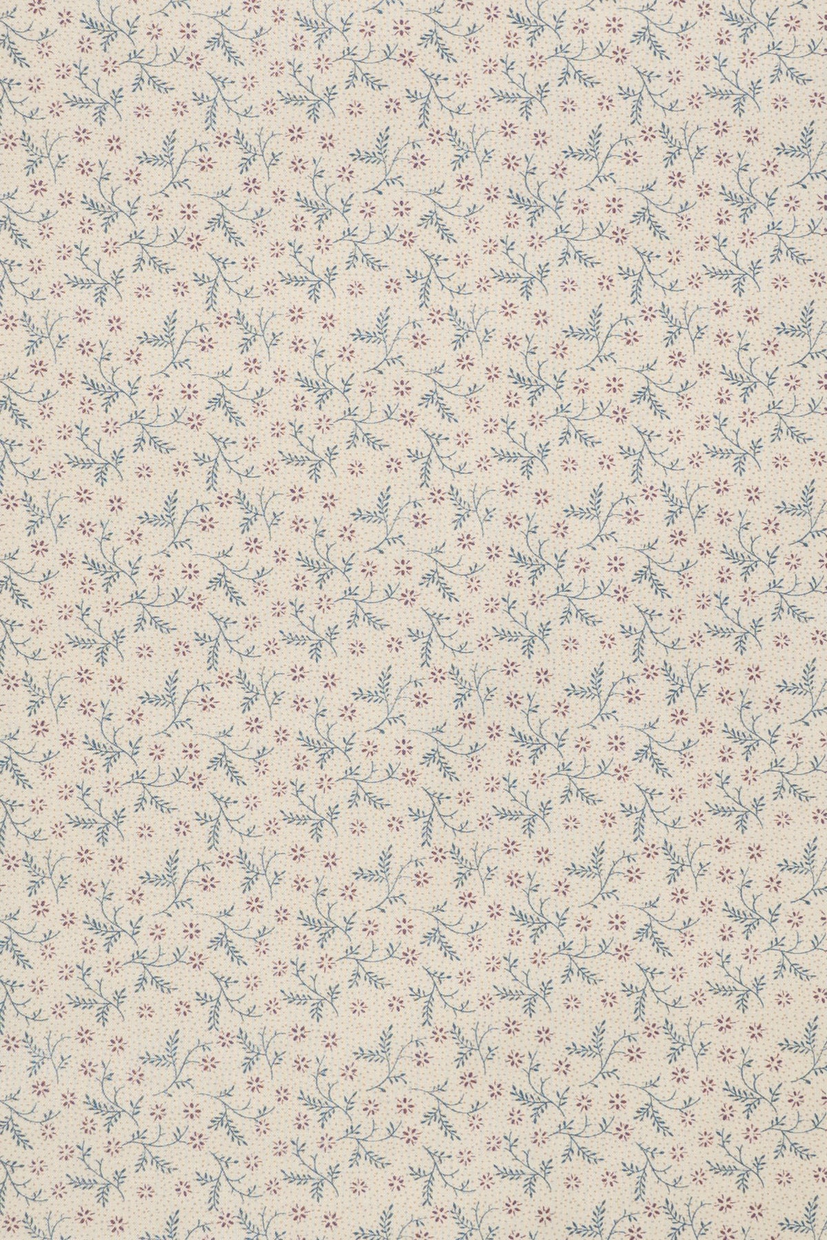 jm-1404 mallow_BETSY
