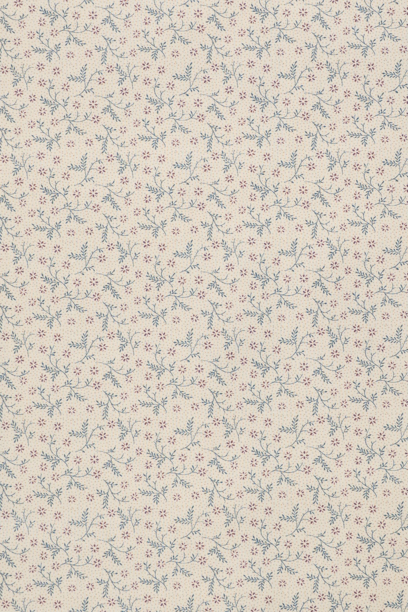 jm-1404 mallow_BETSY