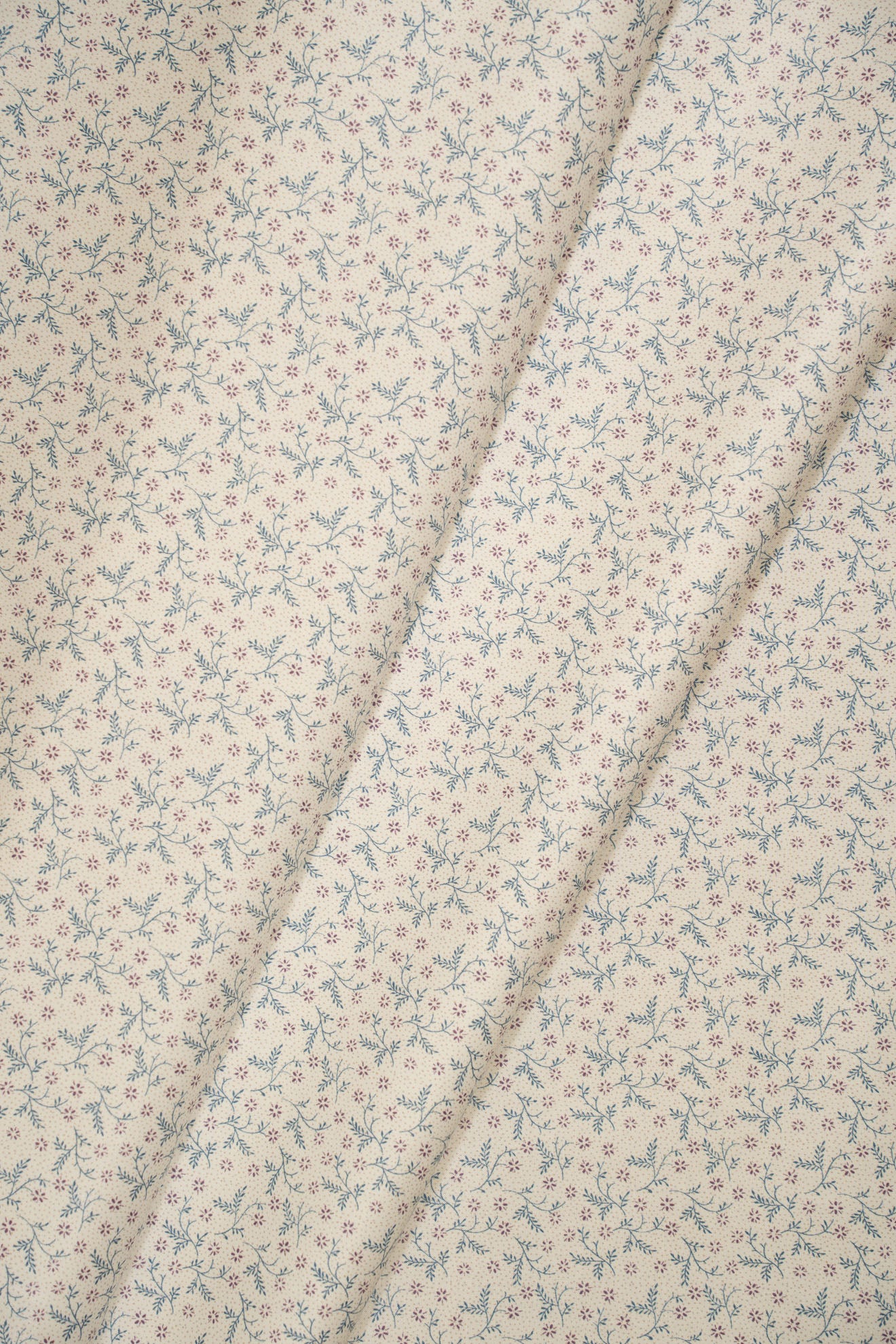 jm-1404 mallow_BETSY