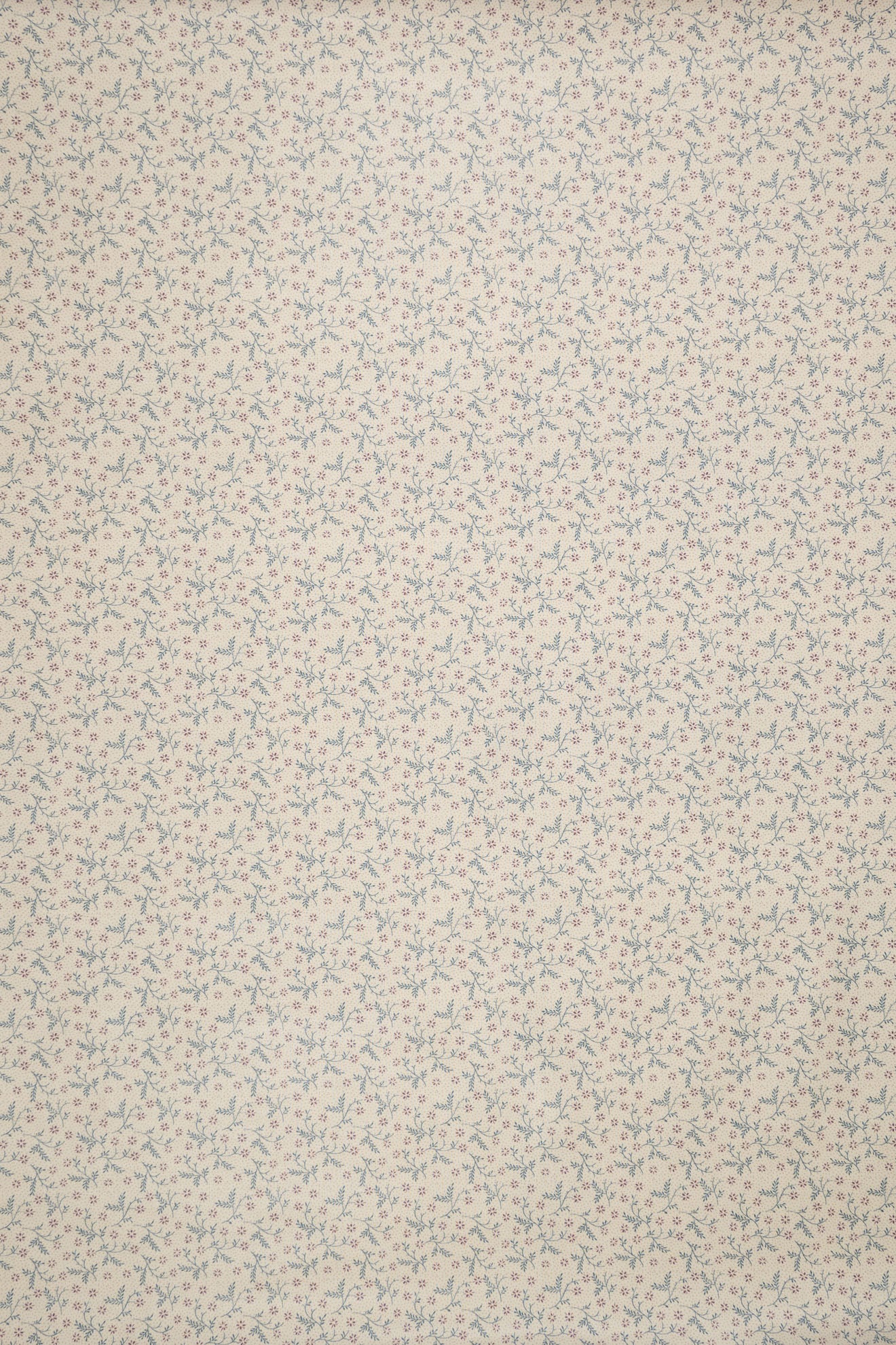 jm-1404 mallow_BETSY