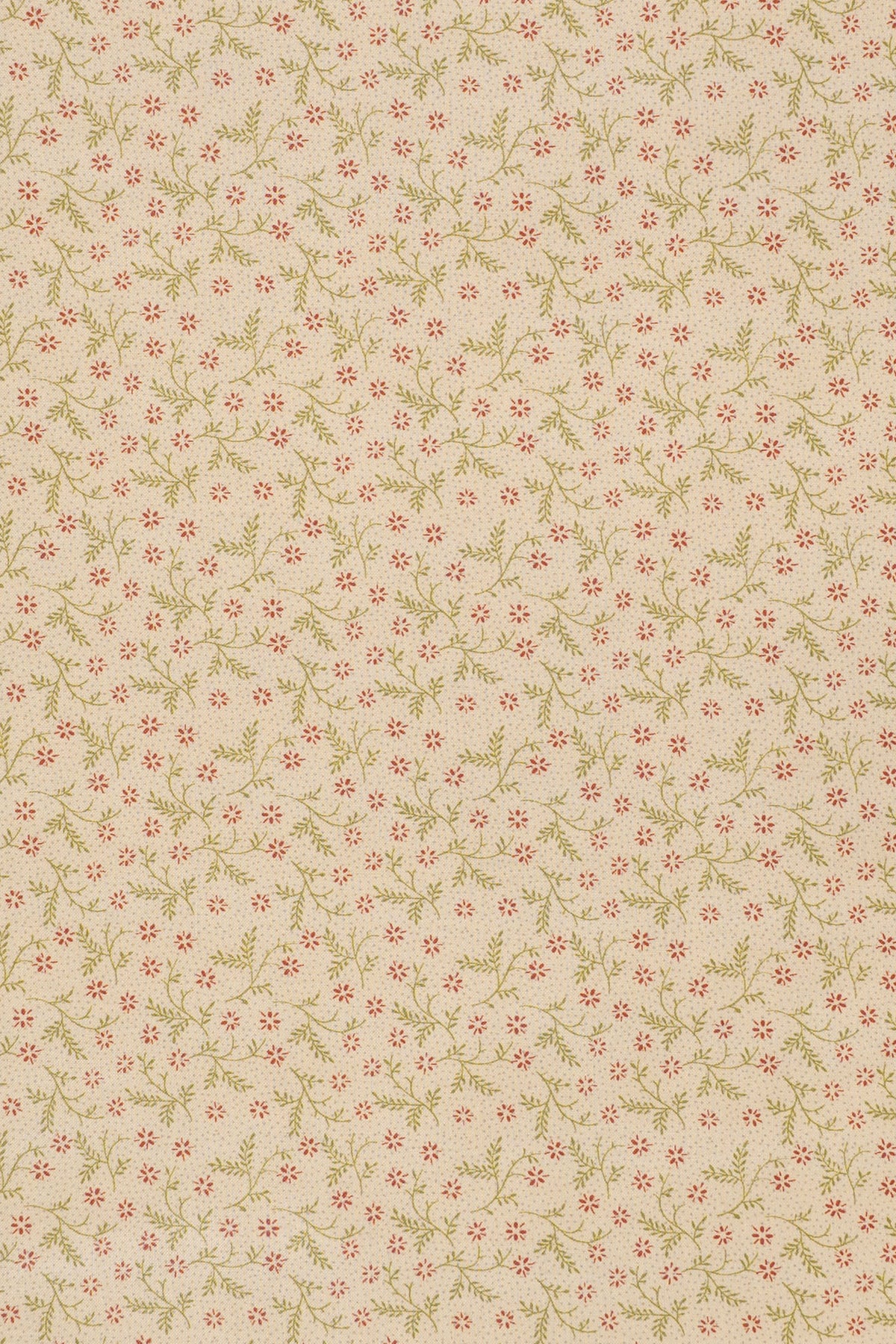 jm-1403 pimpernel_BETSY