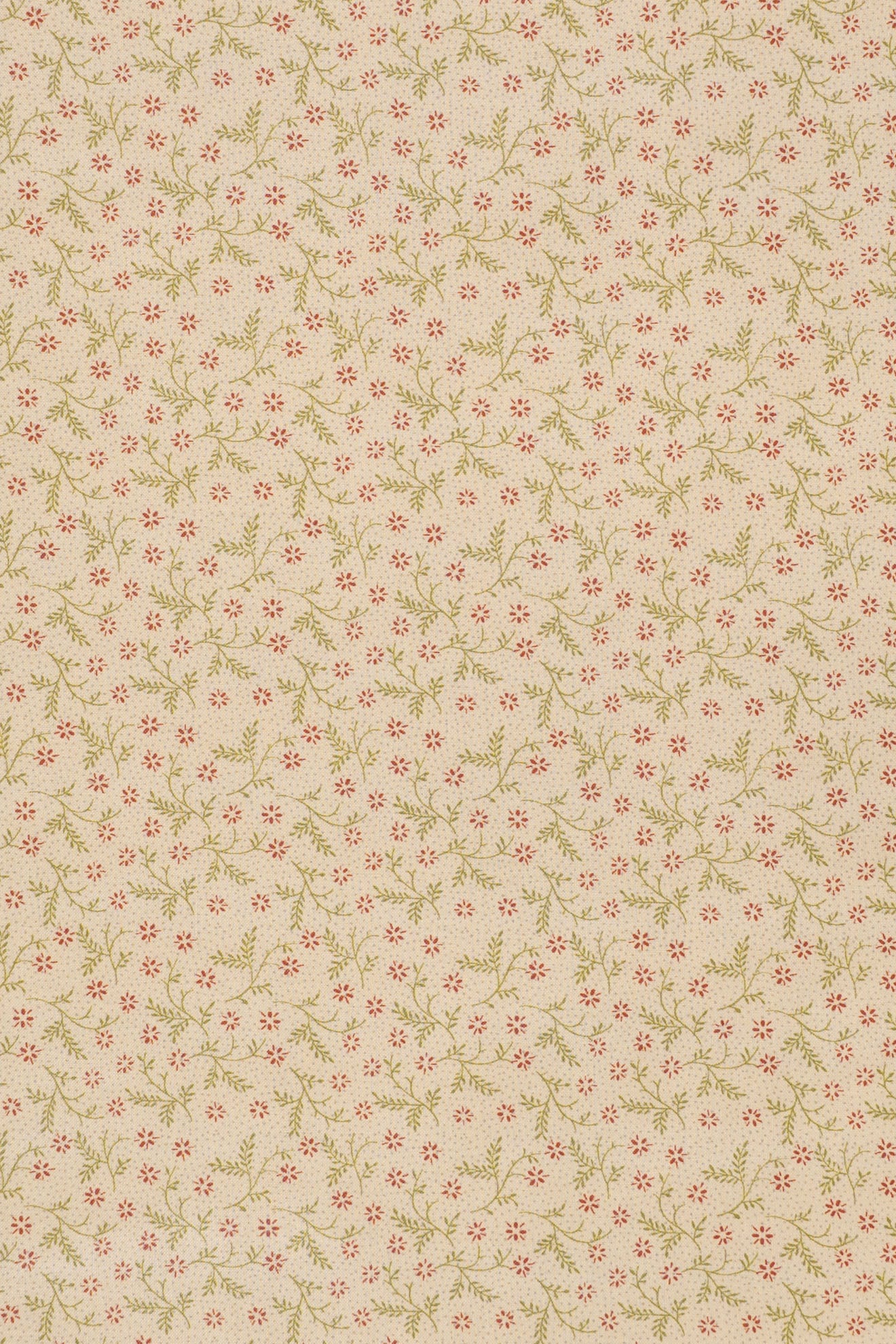 jm-1403 pimpernel_BETSY