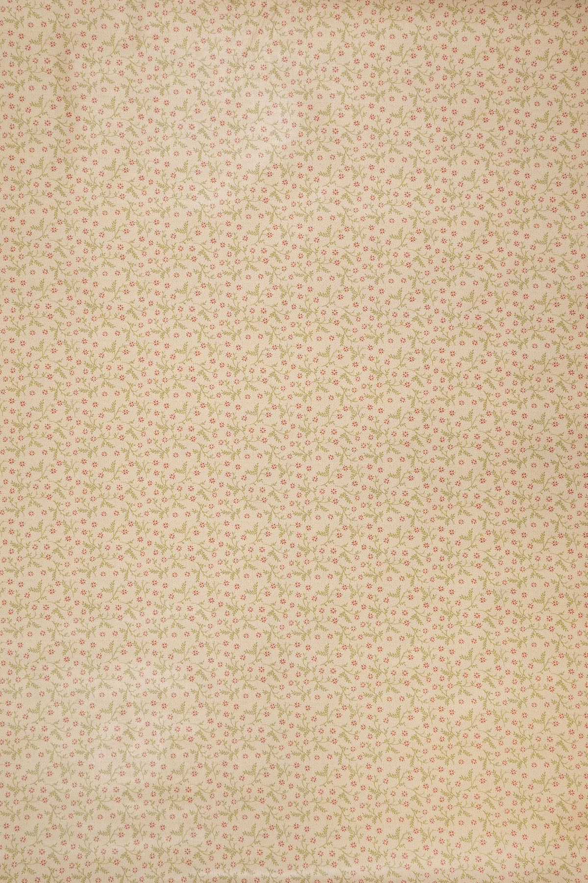 jm-1403 pimpernel_BETSY