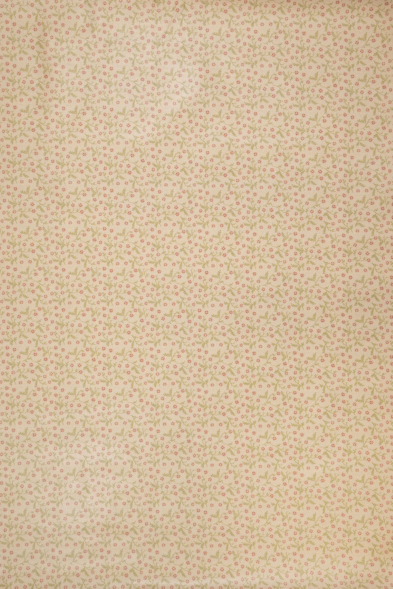 jm-1403 pimpernel_BETSY