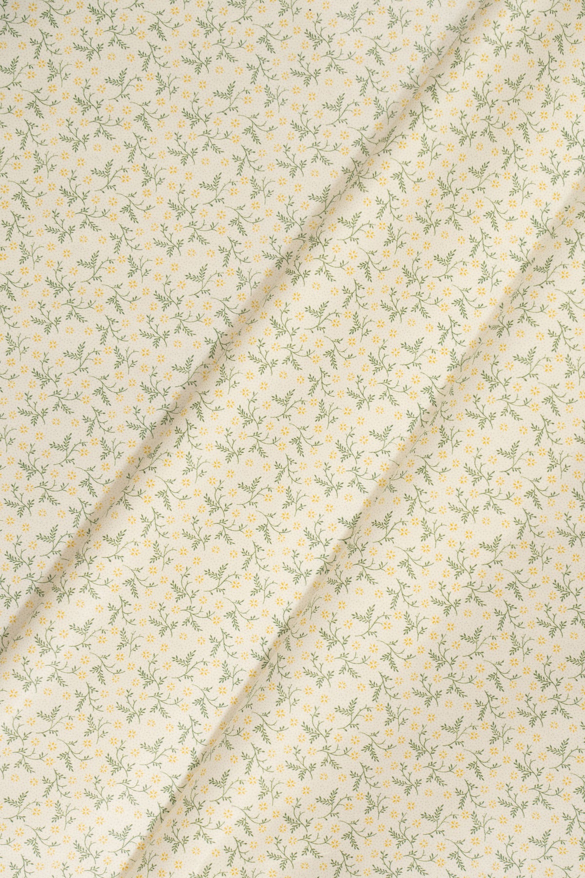 jm-1400 primrose_BETSY