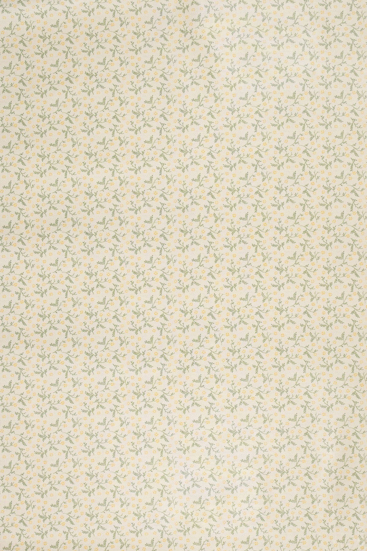 jm-1400 primrose_BETSY
