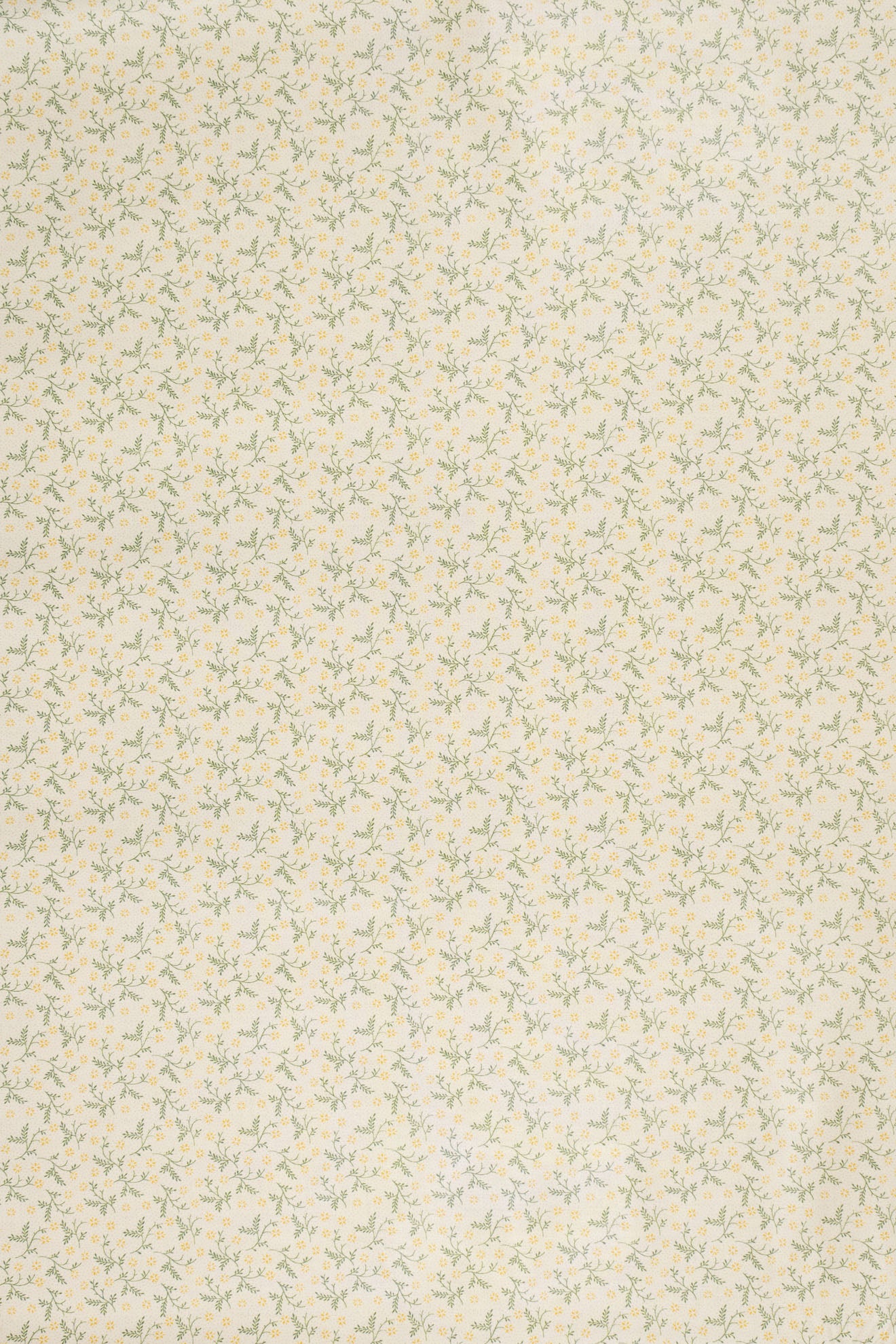 jm-1400 primrose_BETSY
