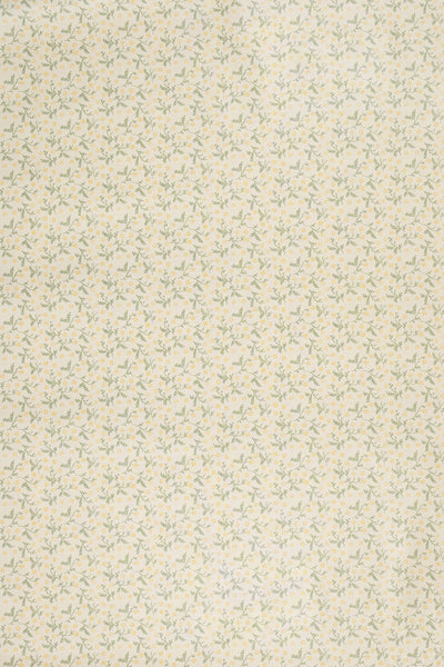 jm-1400 primrose_BETSY