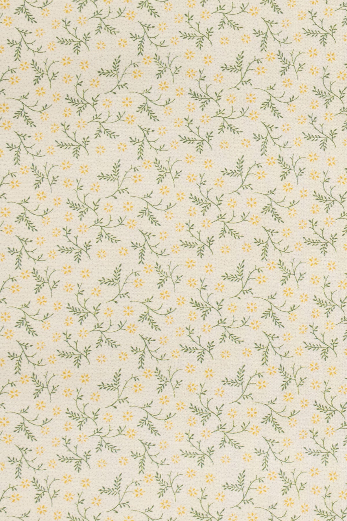 jm-1400 primrose_BETSY