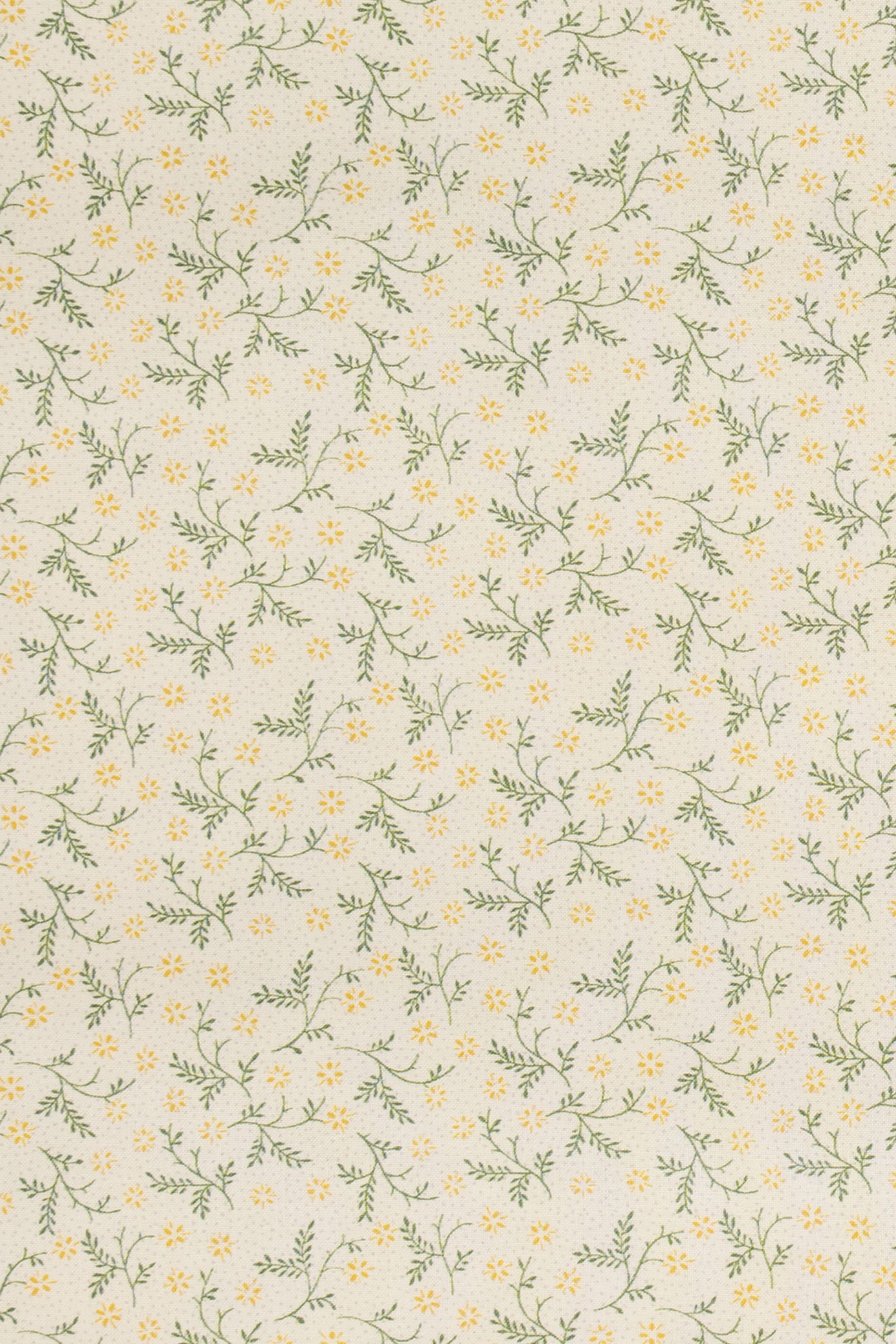 jm-1400 primrose_BETSY