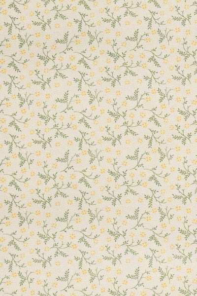 jm-1400 primrose_BETSY