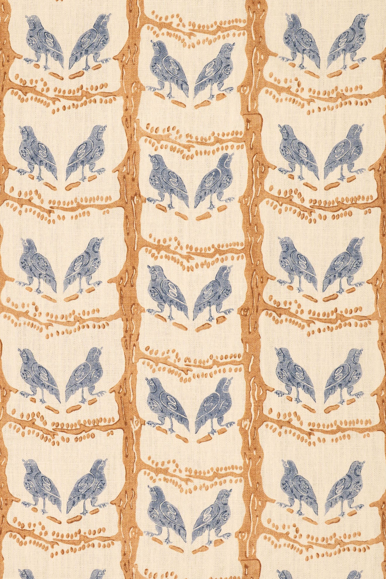 rsc-2200-2 china buff_BIRD CHATTER