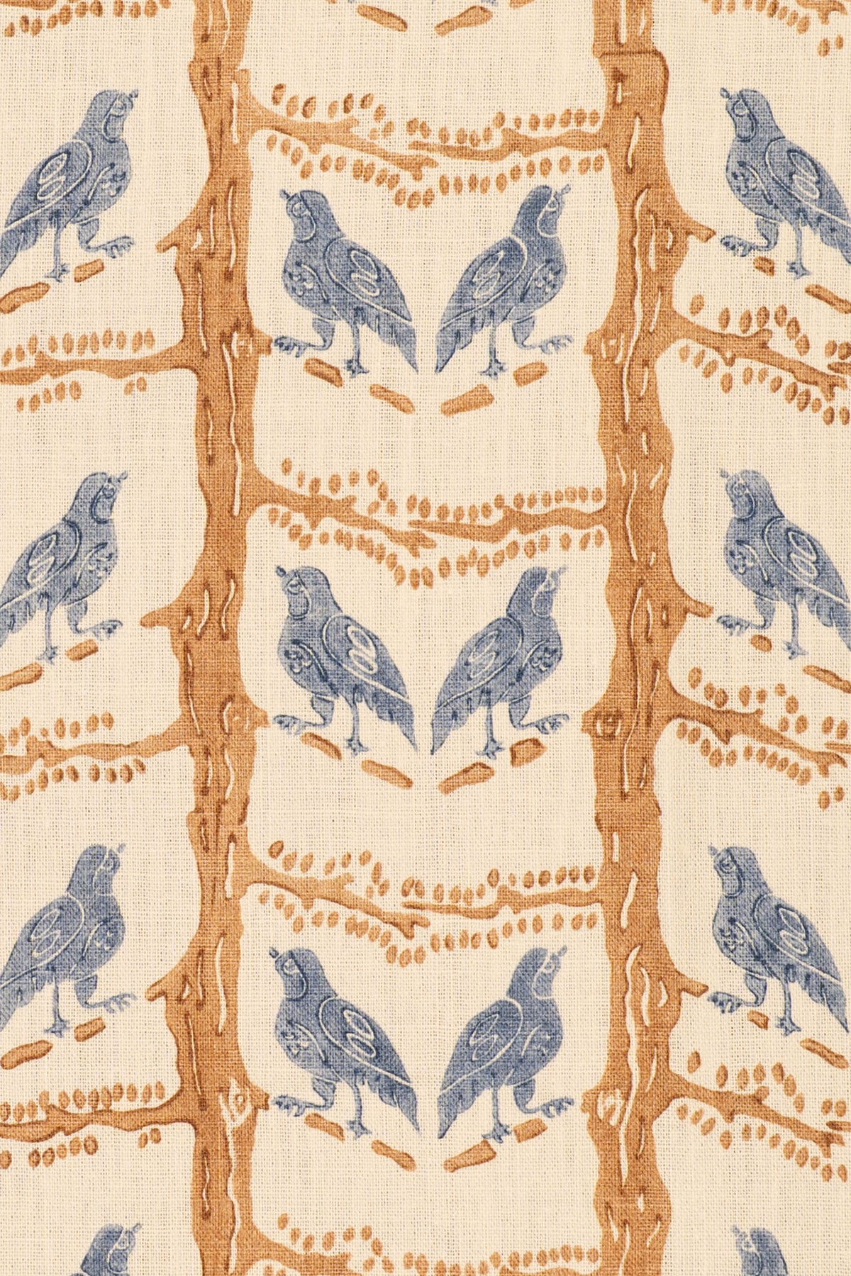 rsc-2200-2 china buff_BIRD CHATTER