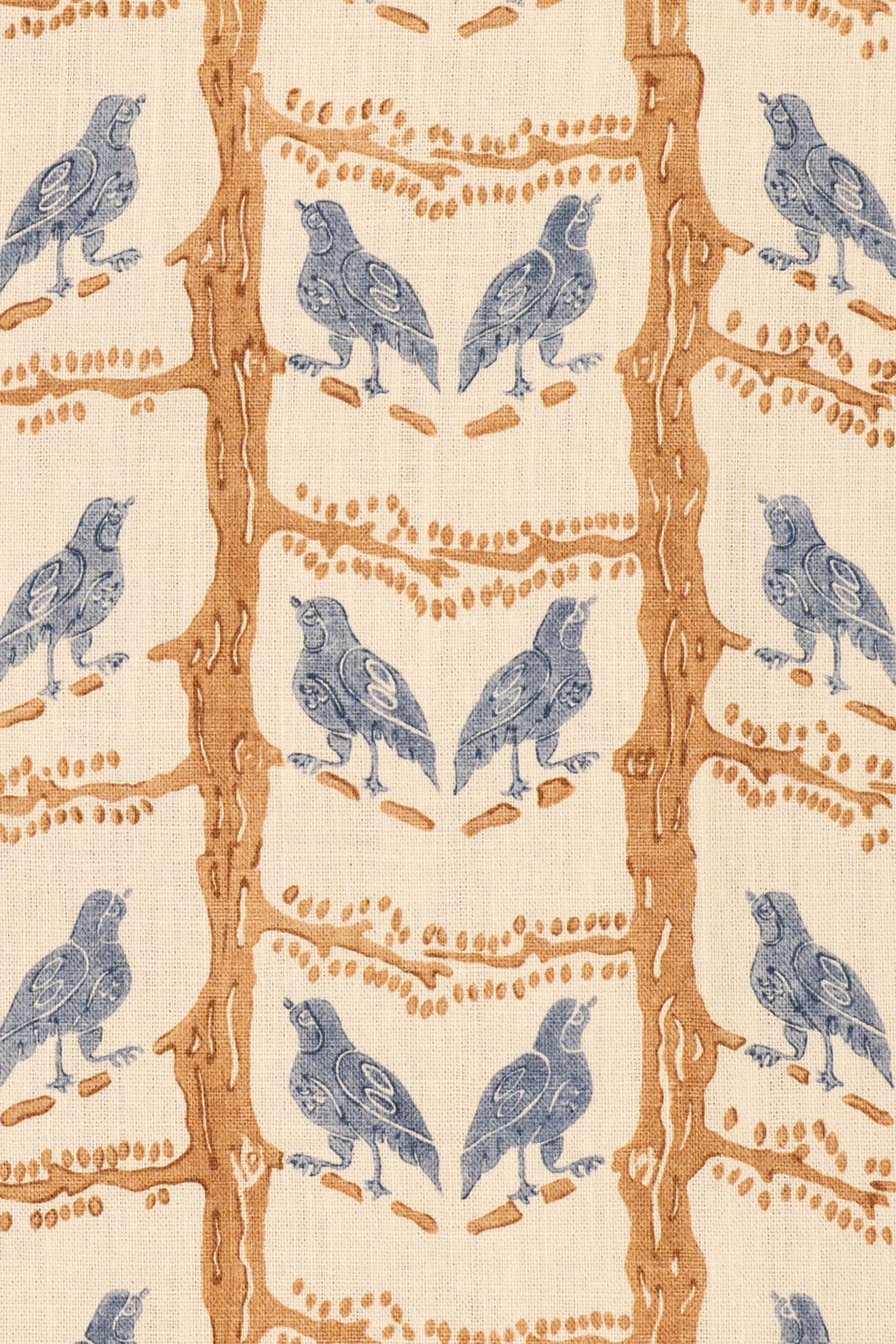 rsc-2200-2 china buff_BIRD CHATTER