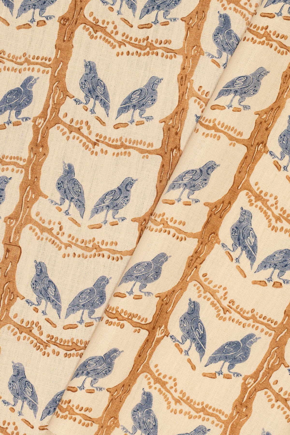 rsc-2200-2 china buff_BIRD CHATTER