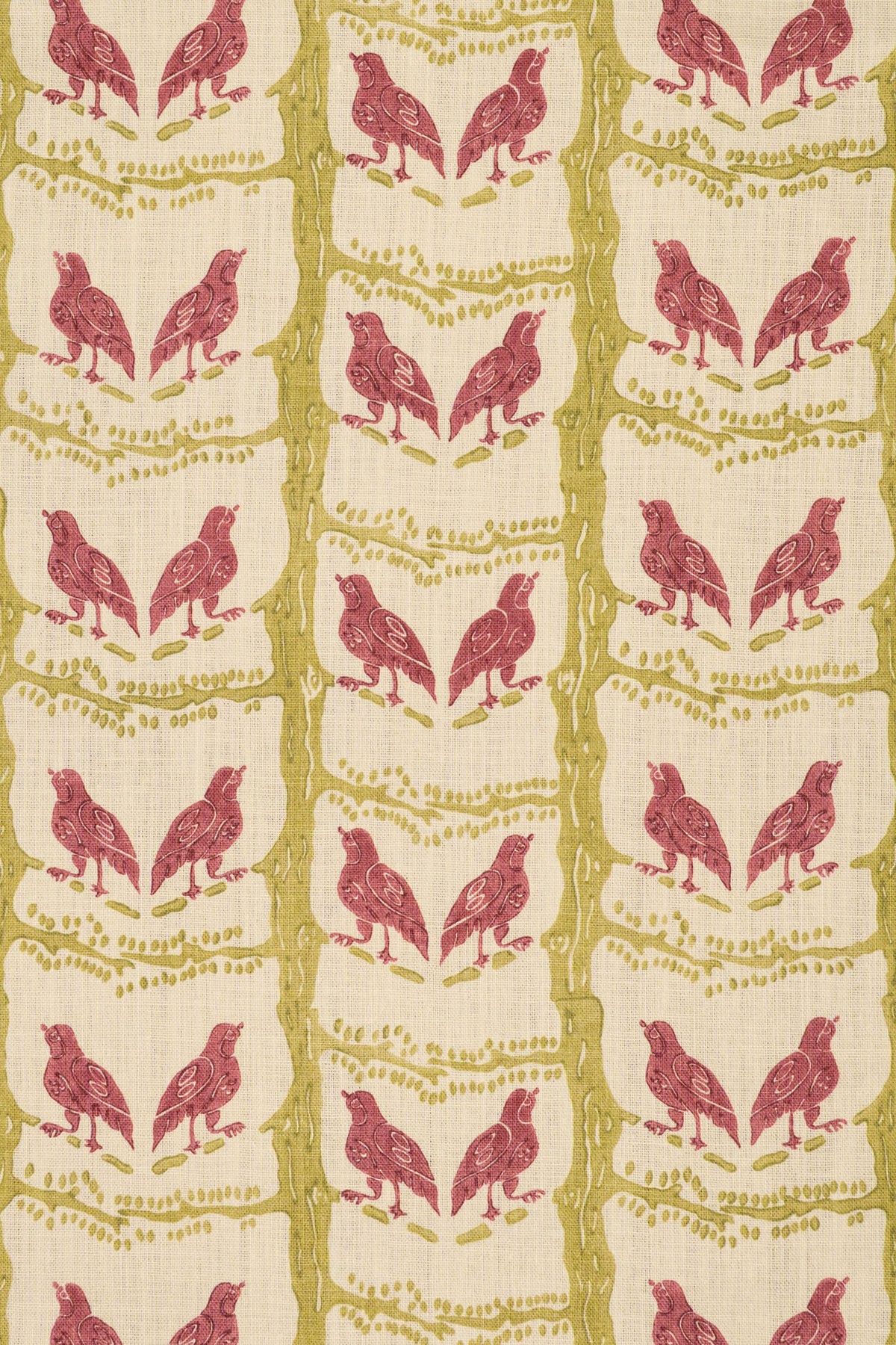 rsc-2200-1 lime rose_BIRD CHATTER