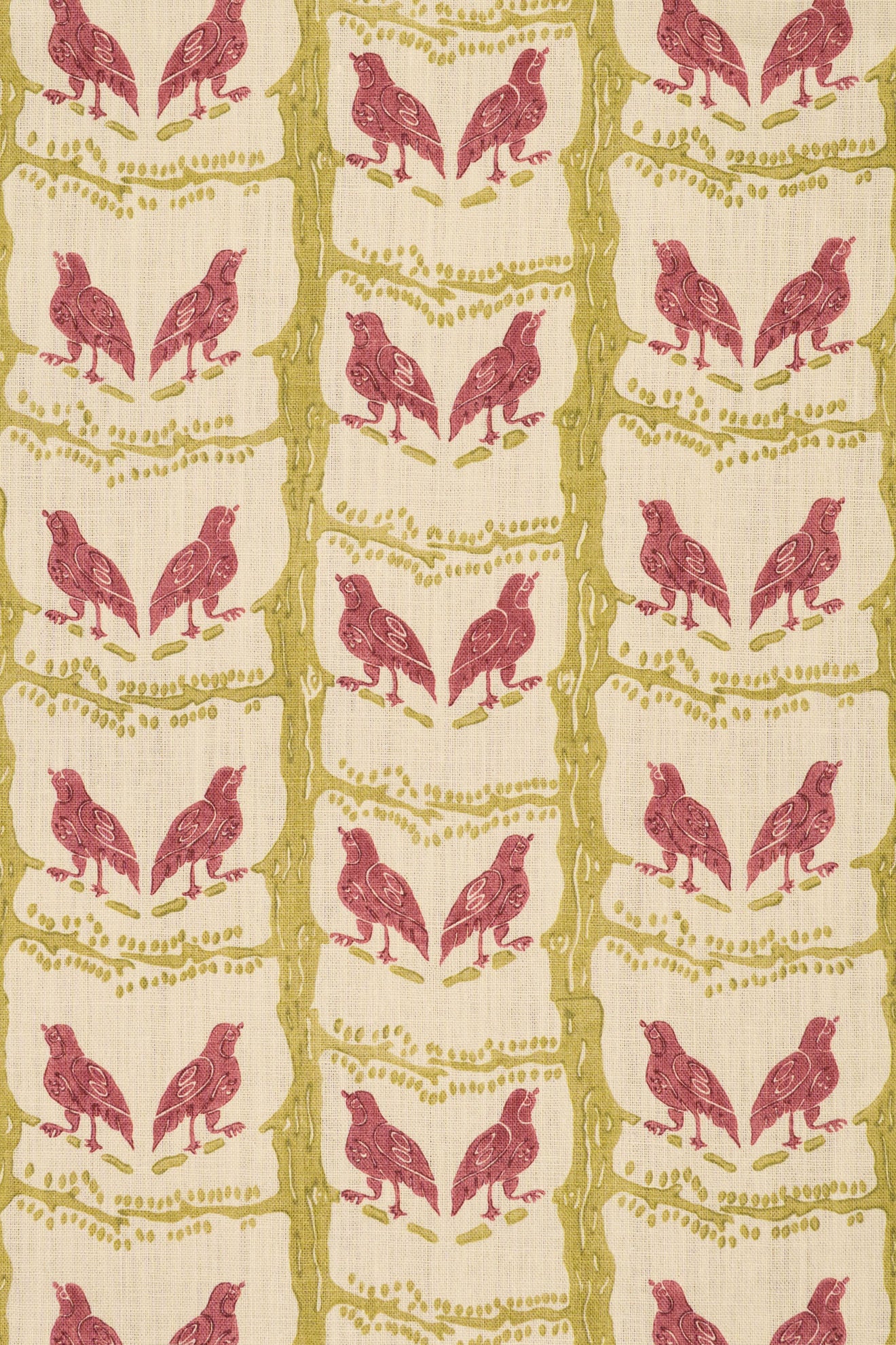 rsc-2200-1 lime rose_BIRD CHATTER