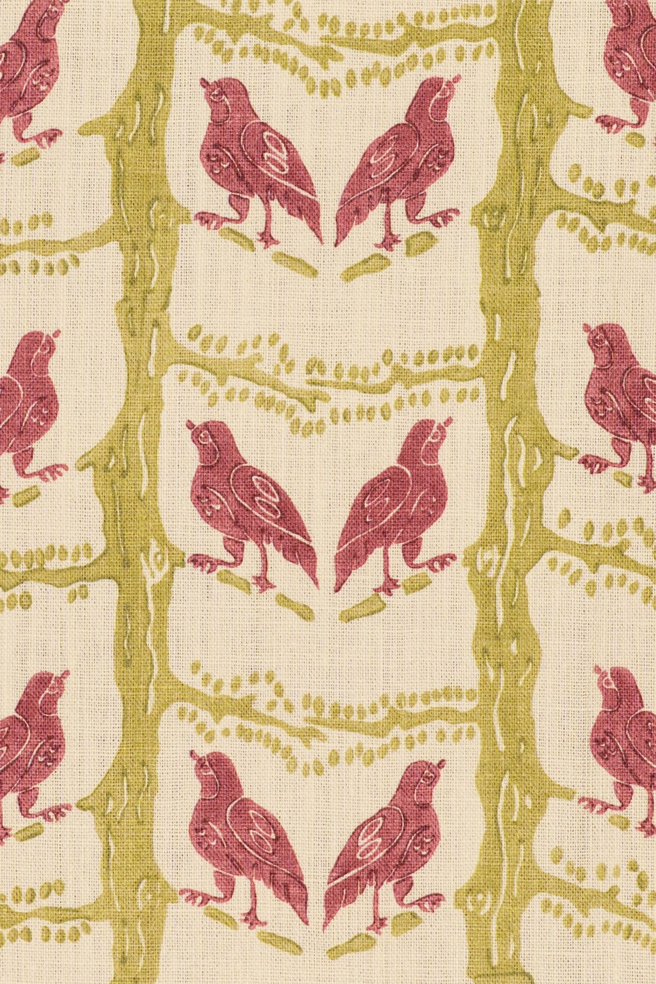 rsc-2200-1 lime rose_BIRD CHATTER