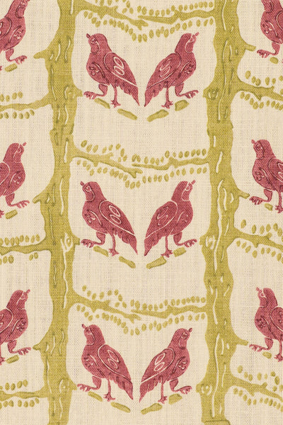 rsc-2200-1 lime rose_BIRD CHATTER