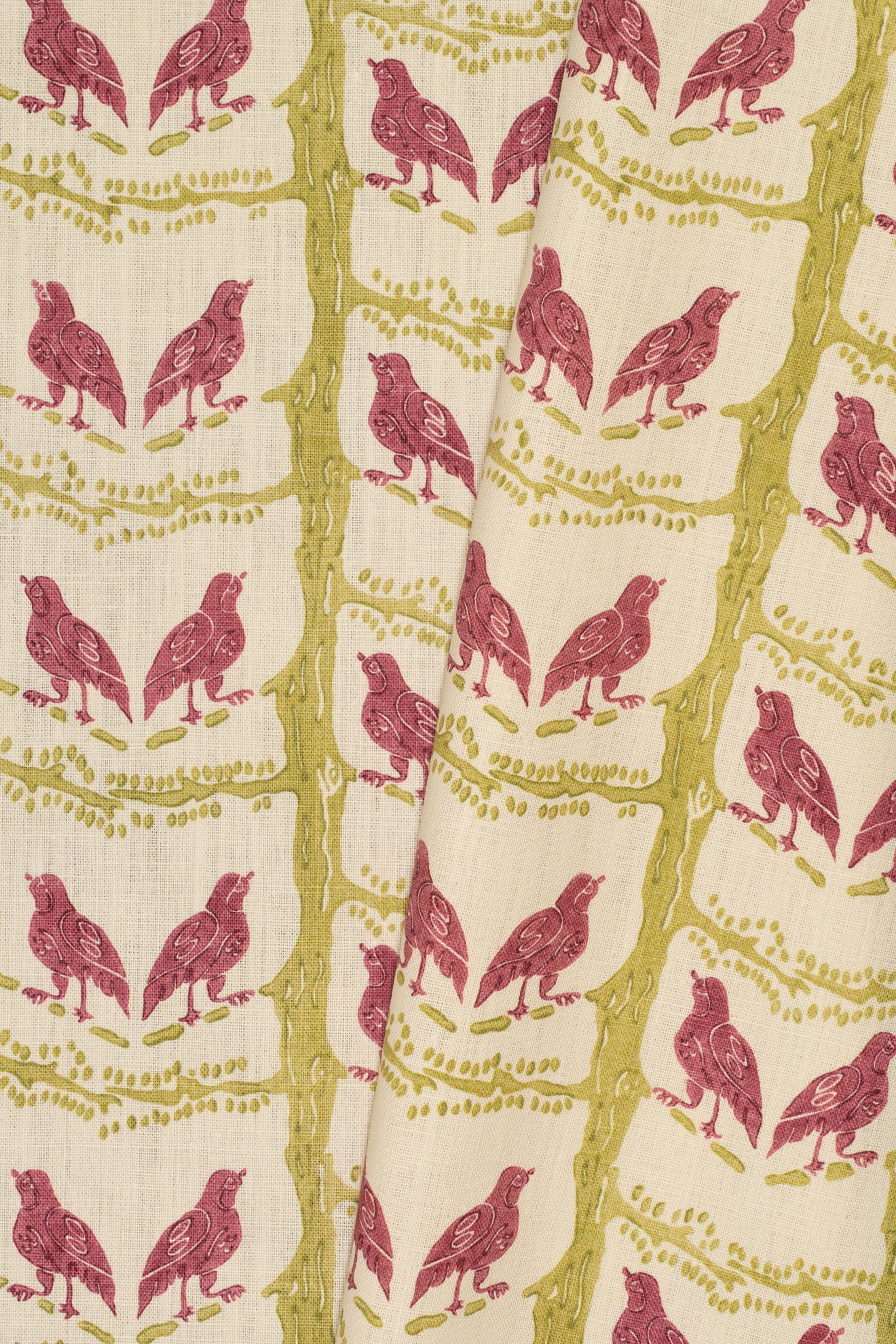 rsc-2200-1 lime rose_BIRD CHATTER