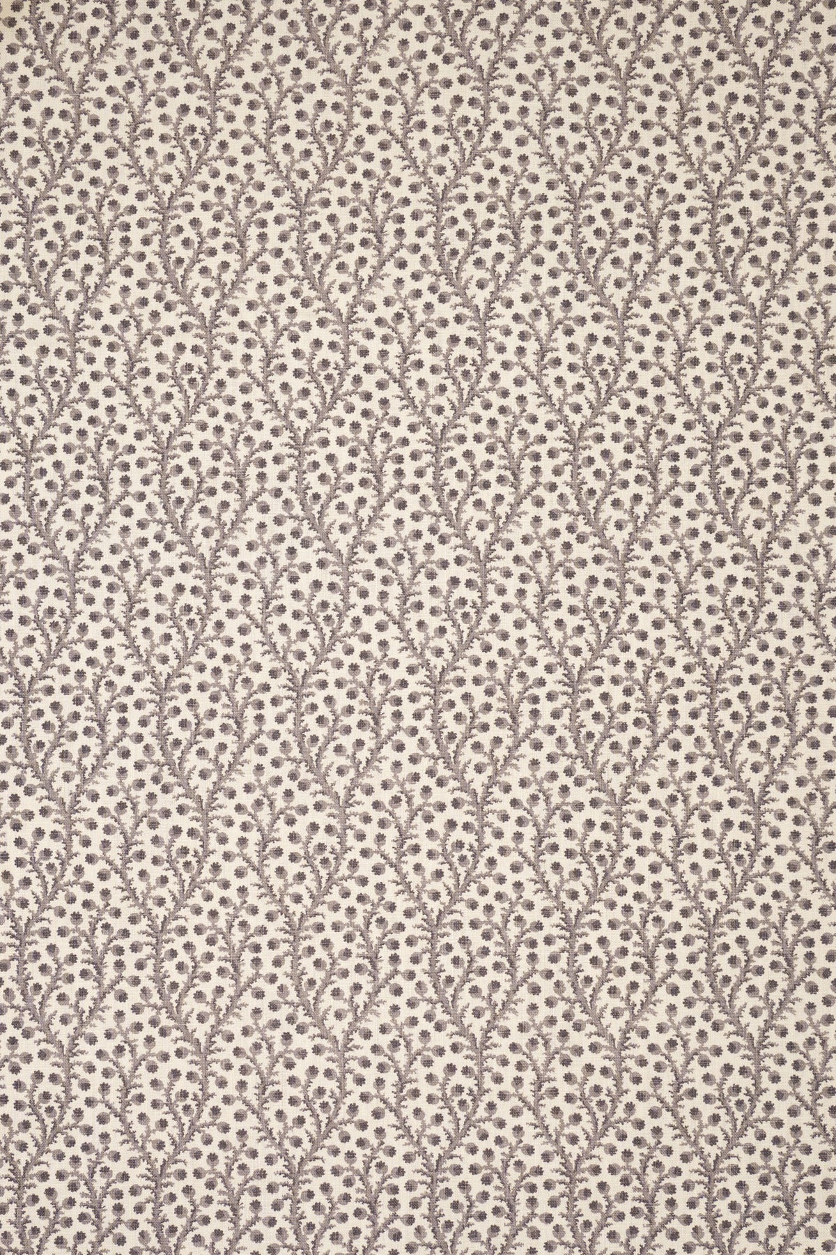 5-dovecote grey_WATERBERRY
