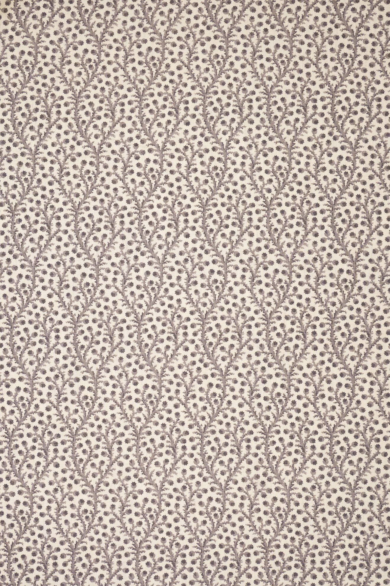 5-dovecote grey_WATERBERRY