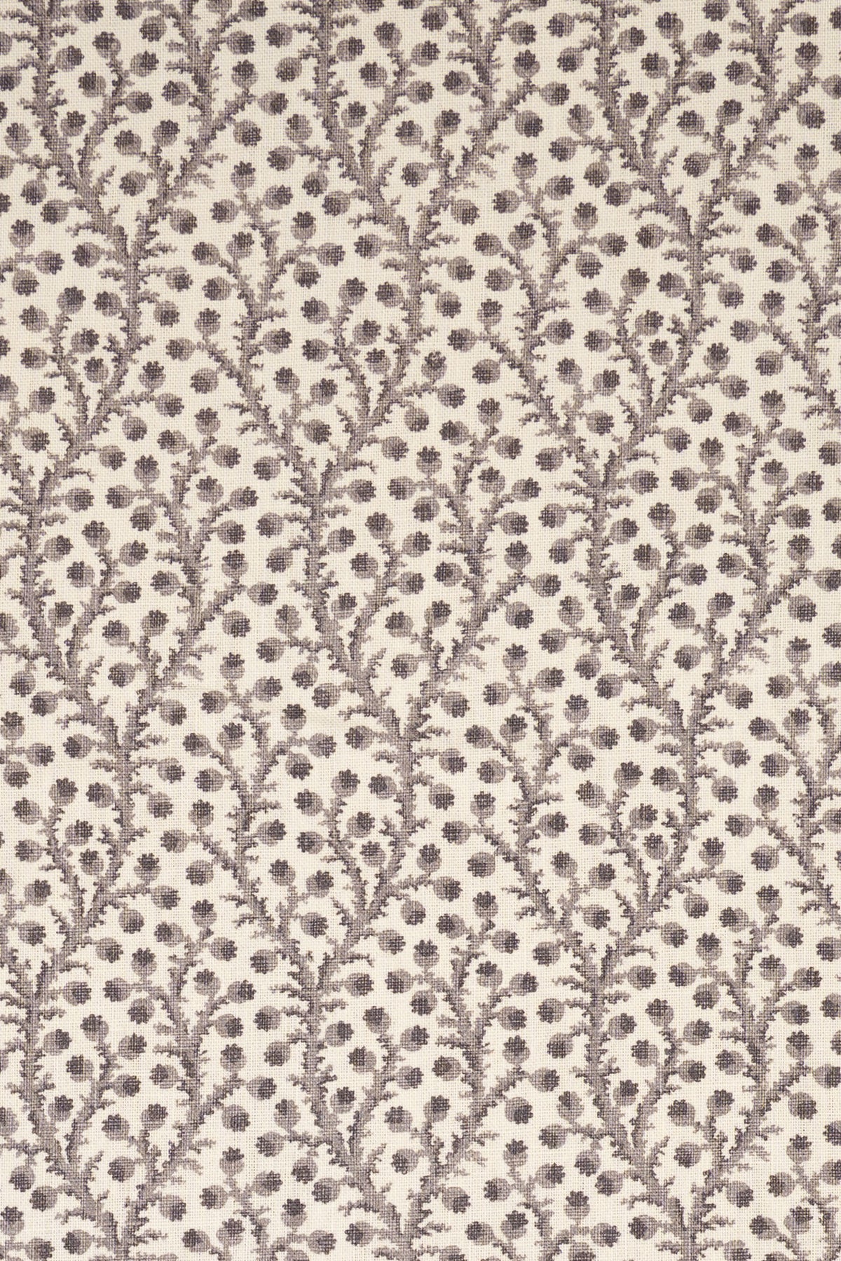 5-dovecote grey_WATERBERRY