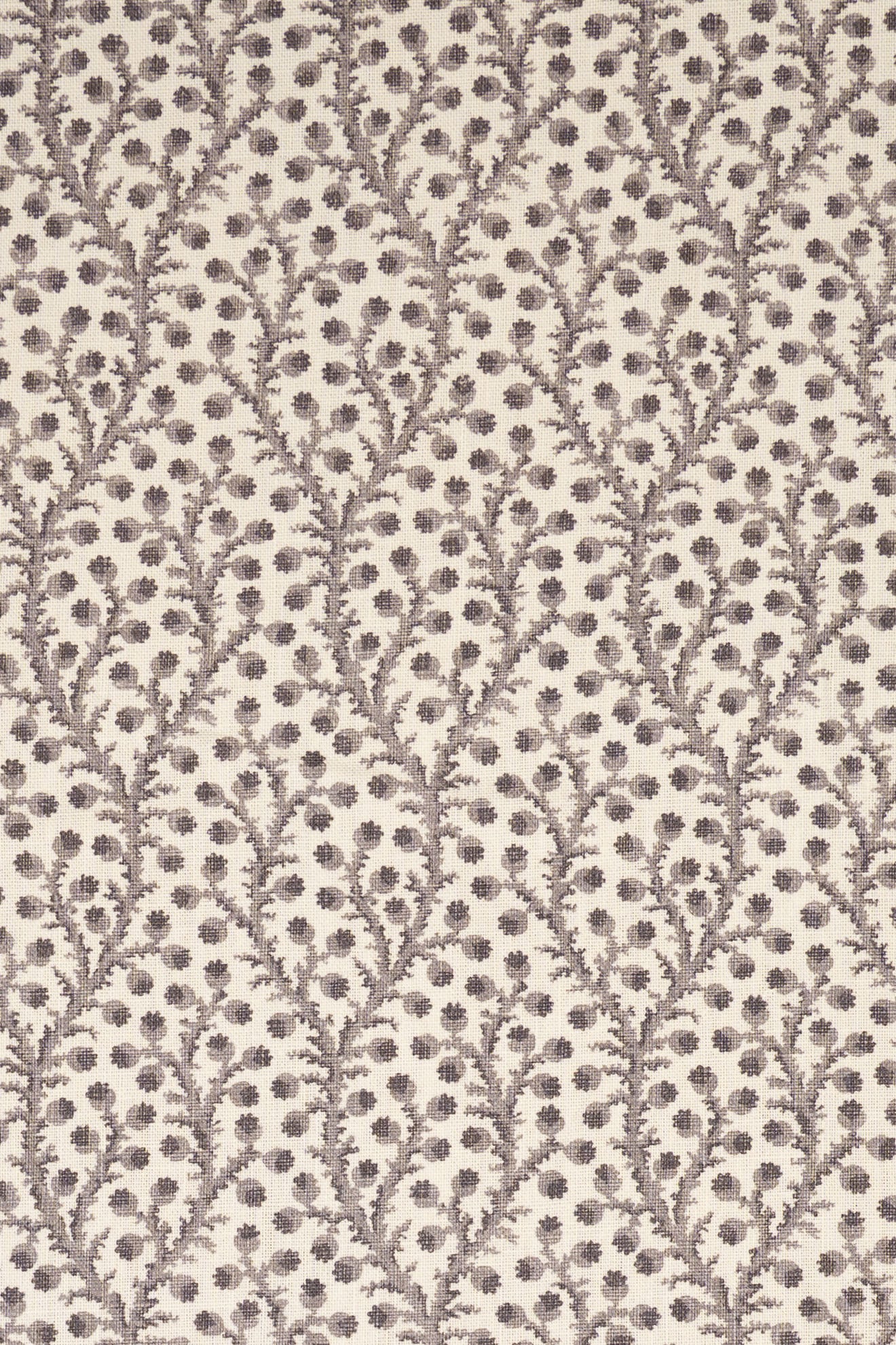 5-dovecote grey_WATERBERRY