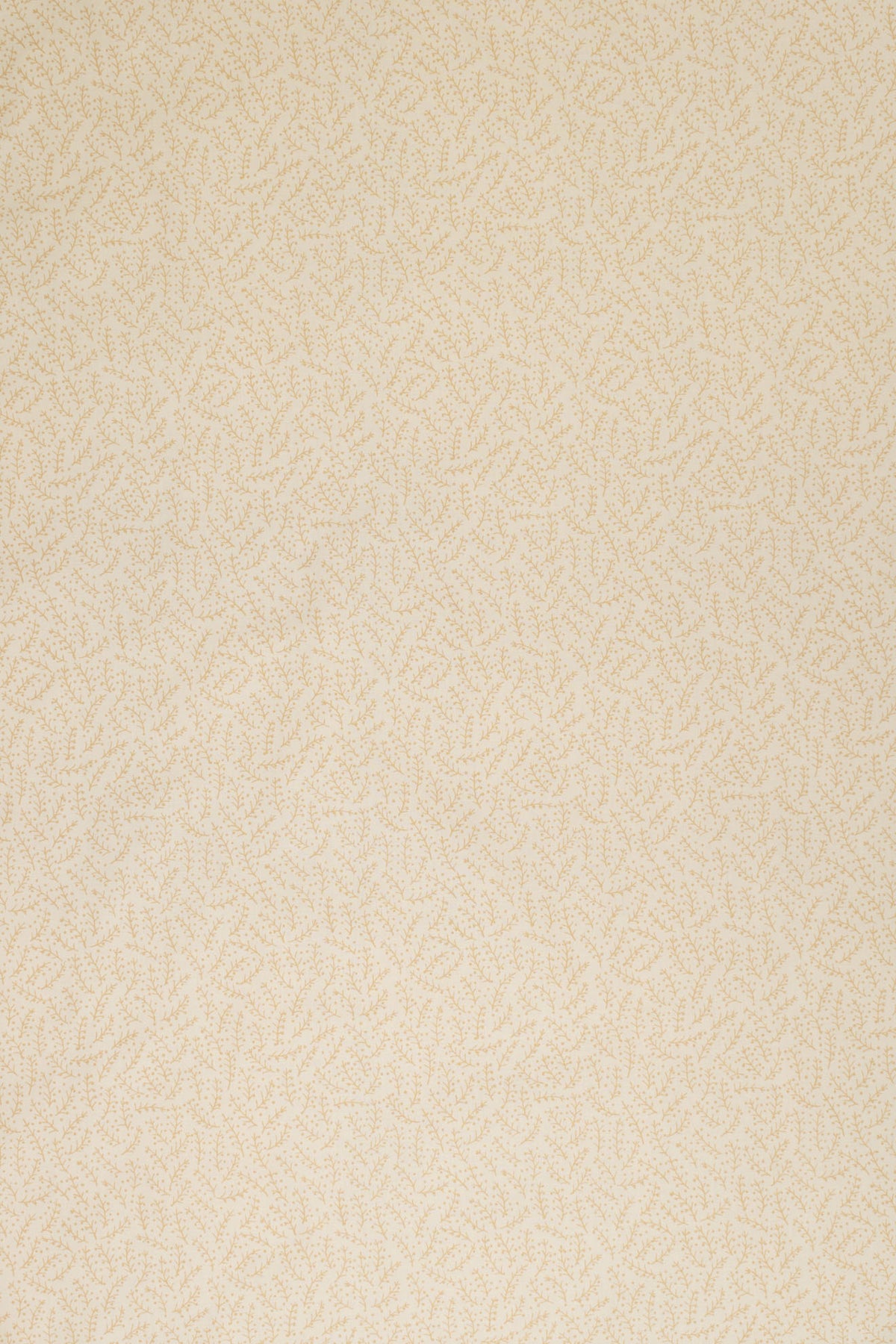 jm-1120 beige_ESSENTIALS