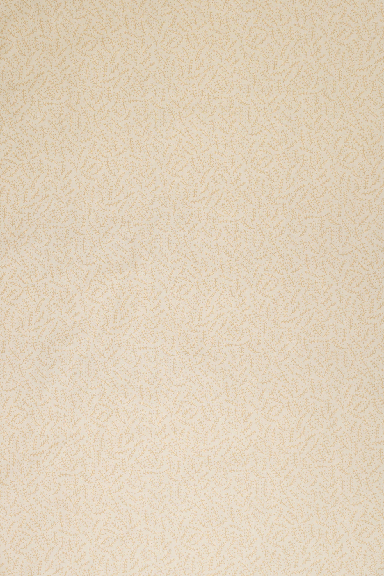 jm-1120 beige_ESSENTIALS