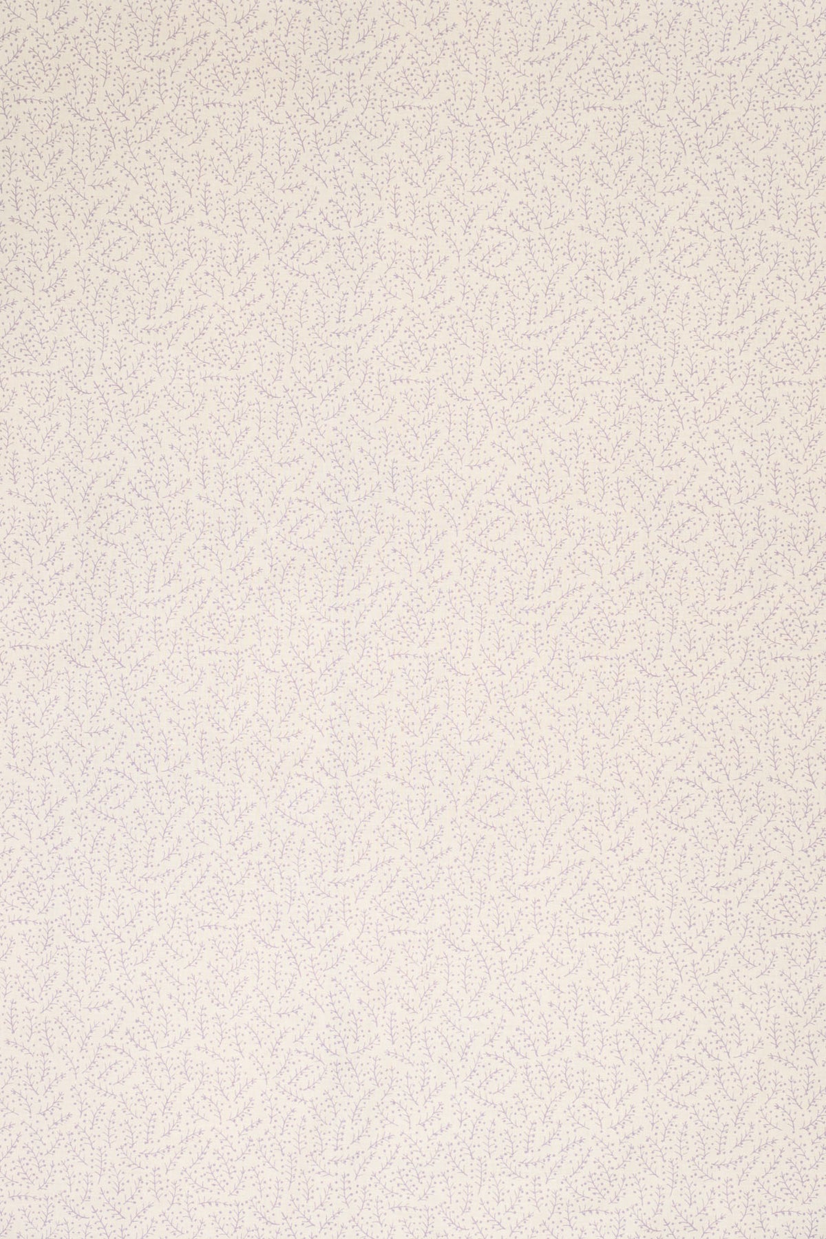 jm-1125 lavender_ESSENTIALS