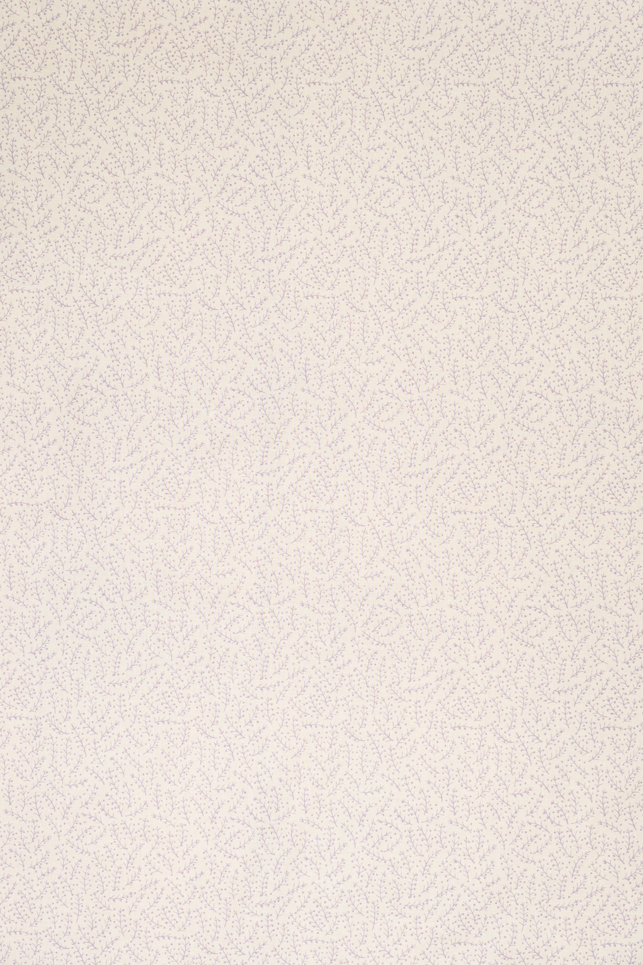 jm-1125 lavender_ESSENTIALS