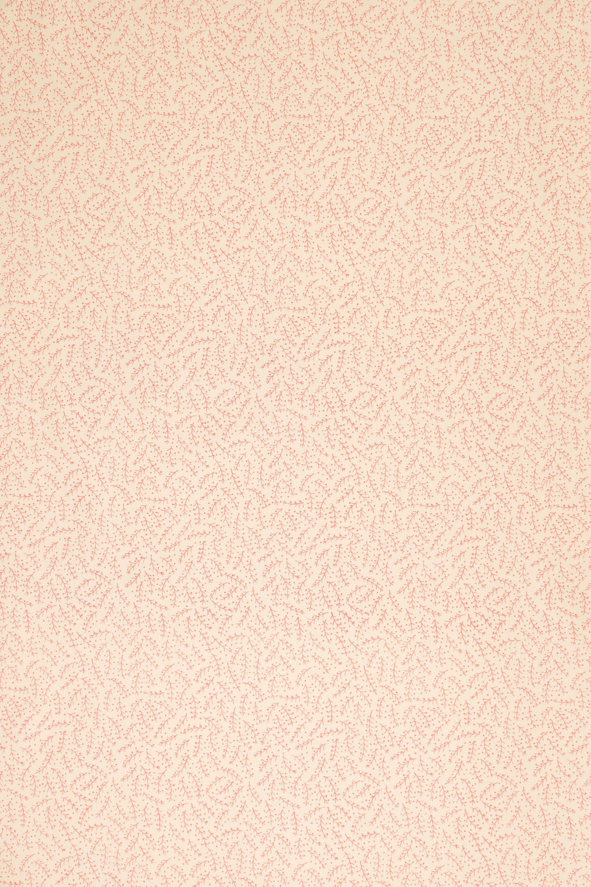 jm-1124 pink_ESSENTIALS