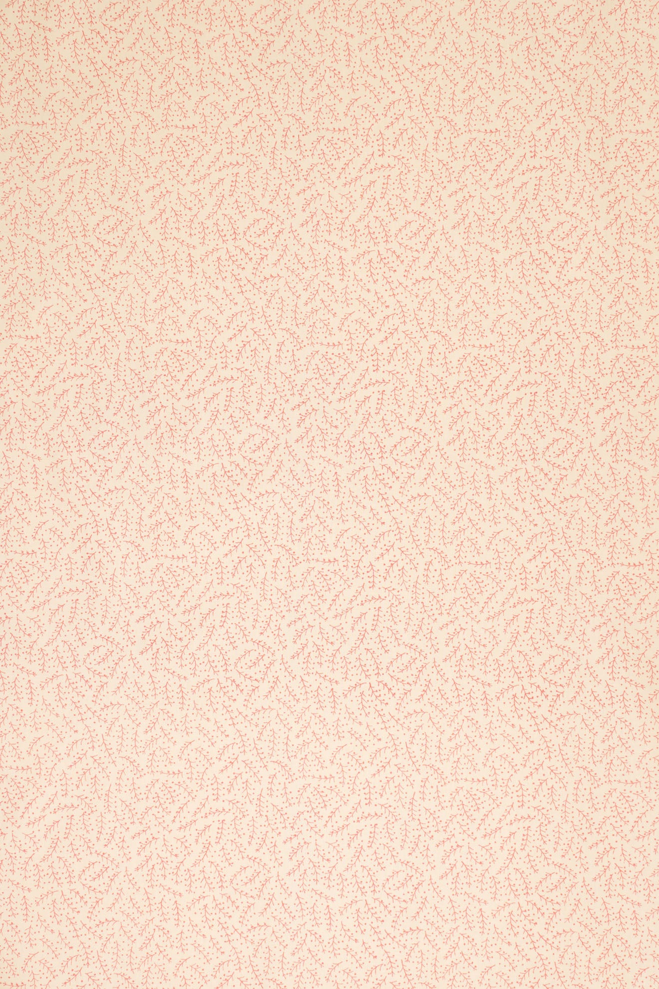jm-1124 pink_ESSENTIALS