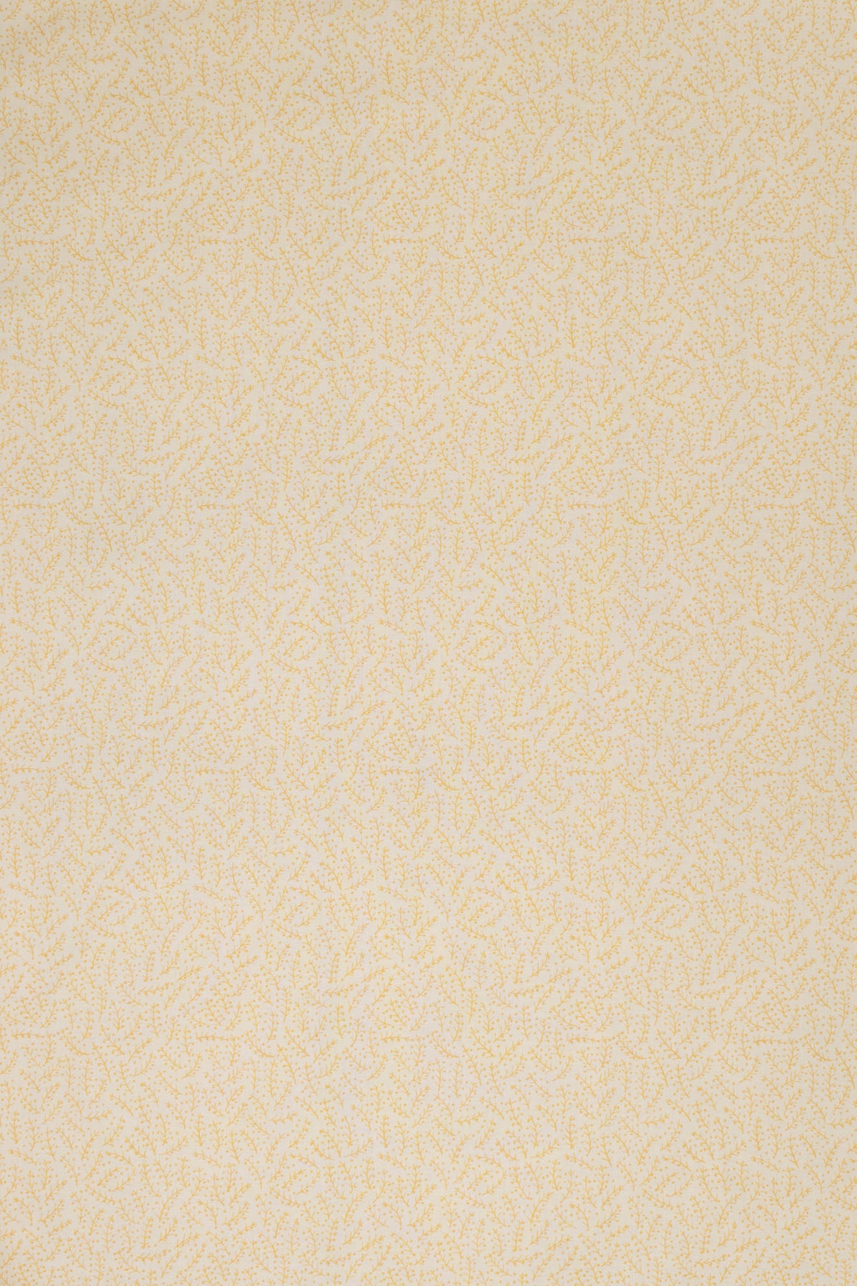 jm-1121 yellow_ESSENTIALS