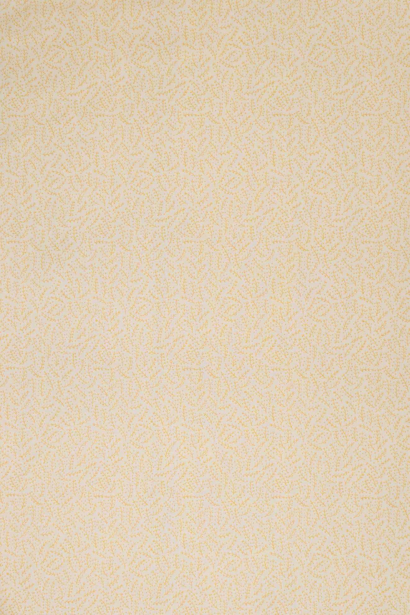 jm-1121 yellow_ESSENTIALS
